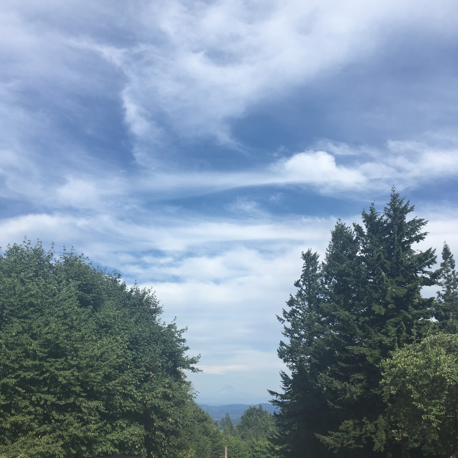 View from Council Crest toward Mt. Hood, which is visible