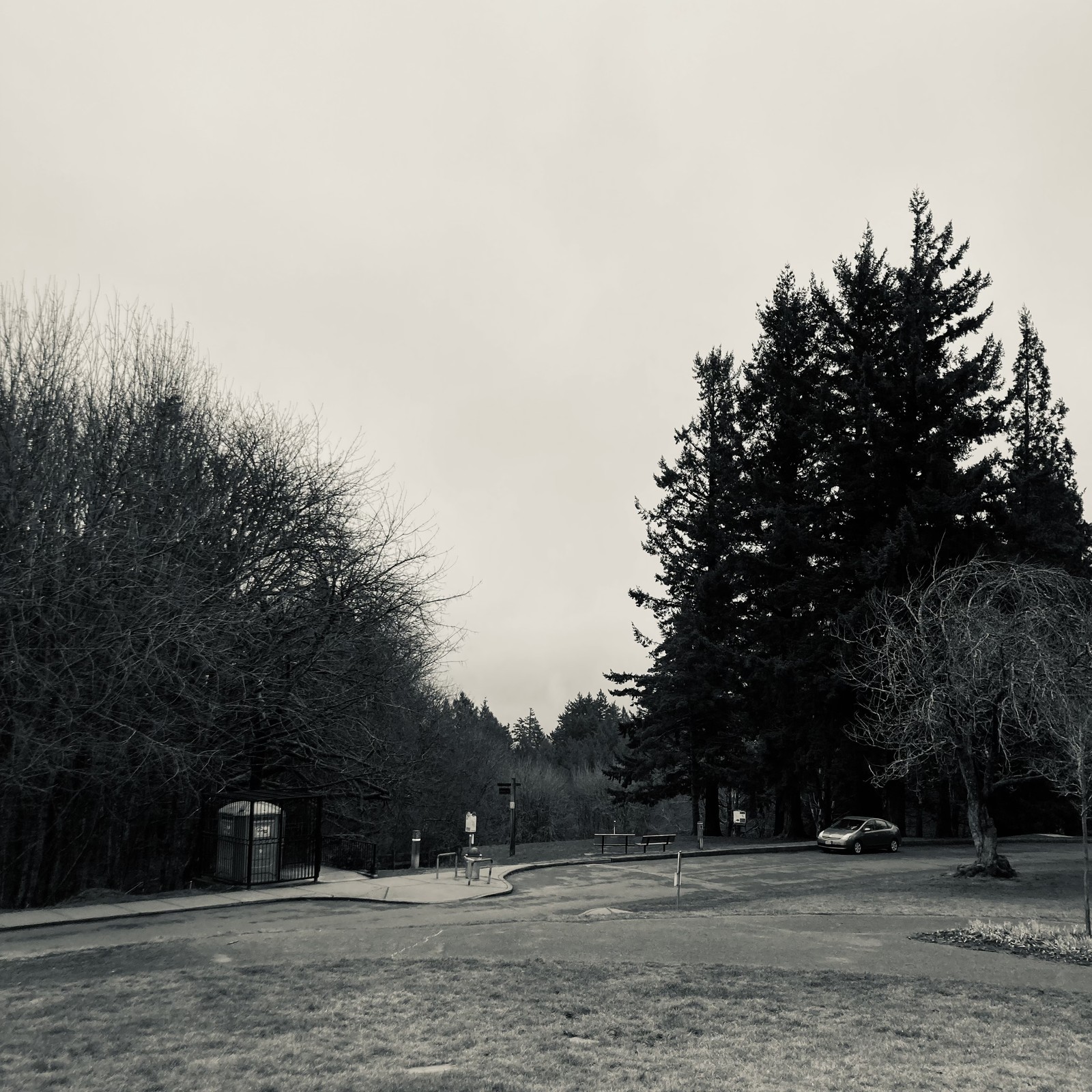 View from Council Crest toward Mt. Hood, which is NOT visible