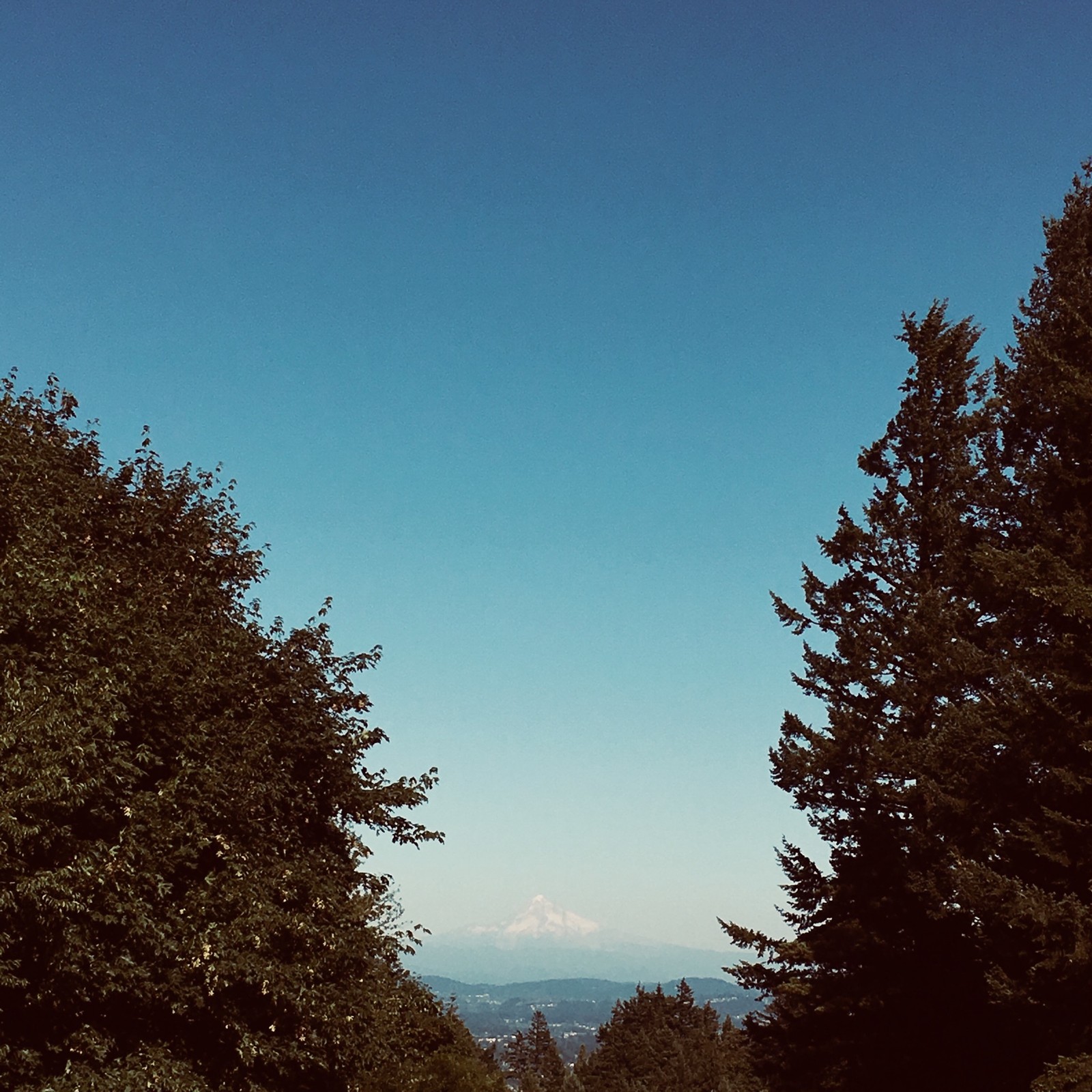 View from Council Crest toward Mt. Hood, which is visible