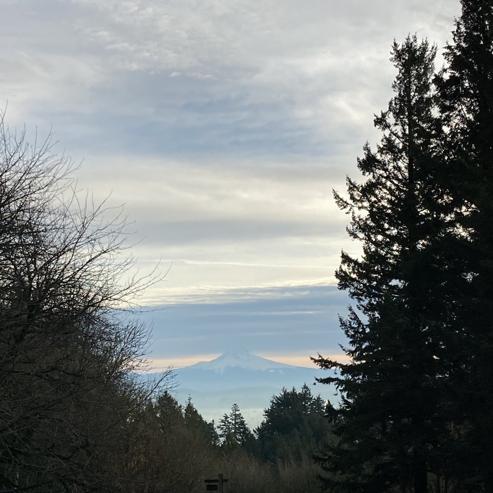 View from Council Crest toward Mt. Hood, which is visible