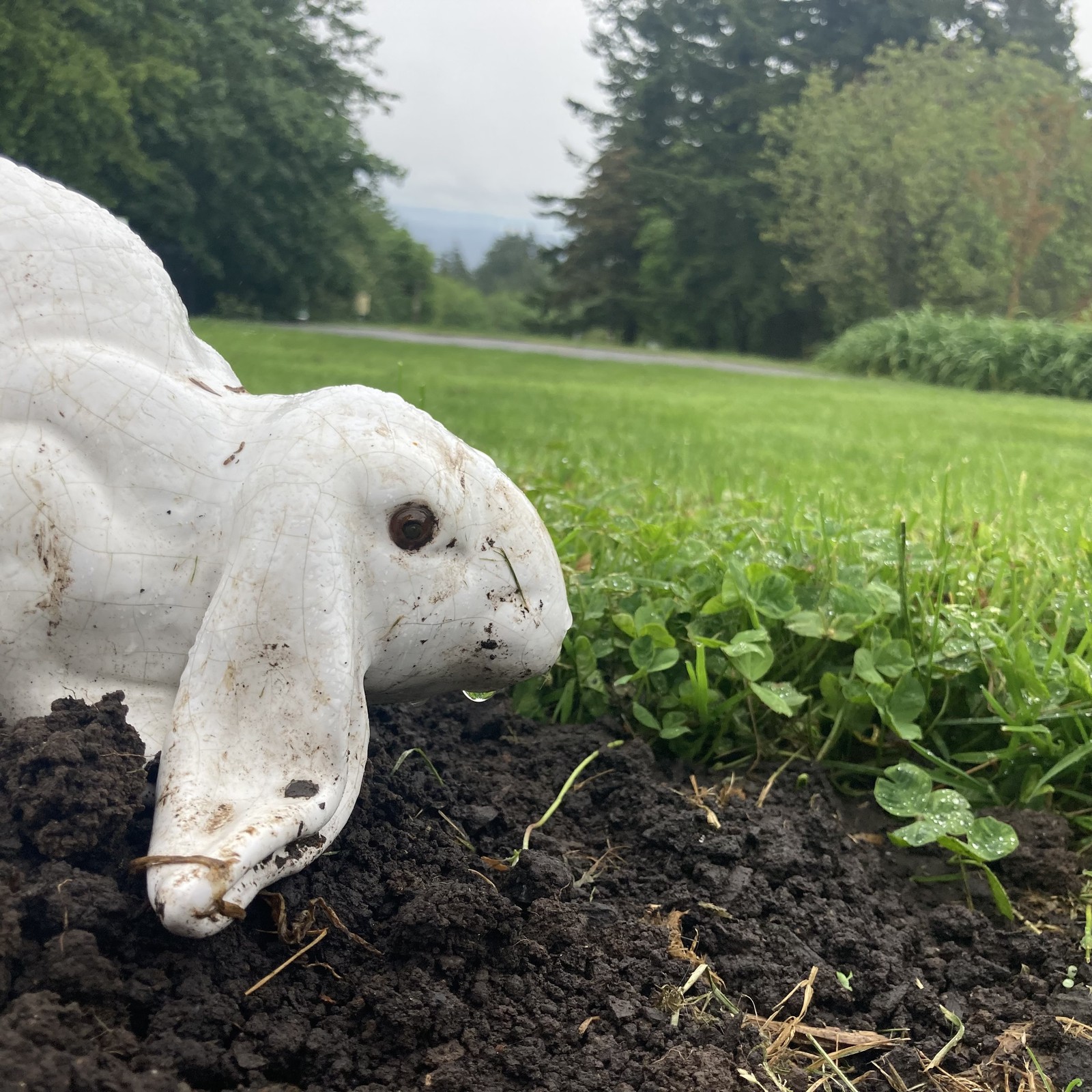 View from Council Crest toward Mt. Hood, which is NOT visible