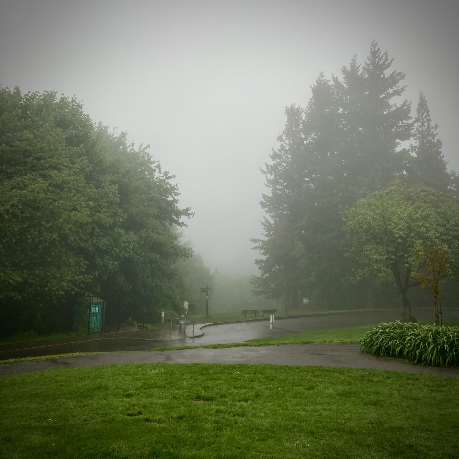 View from Council Crest toward Mt. Hood, which is NOT visible