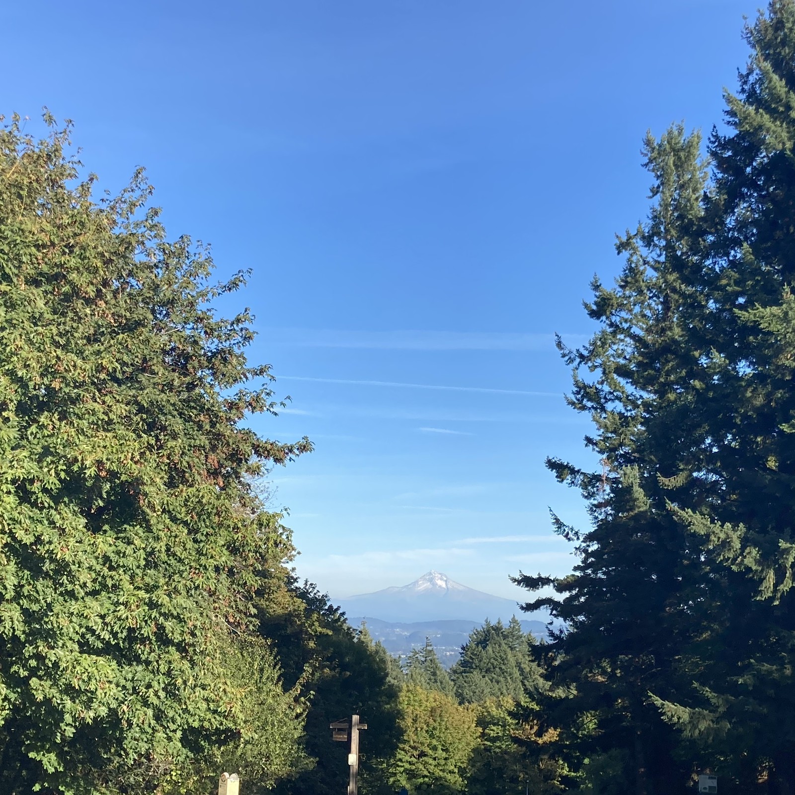 View from Council Crest toward Mt. Hood, which is visible