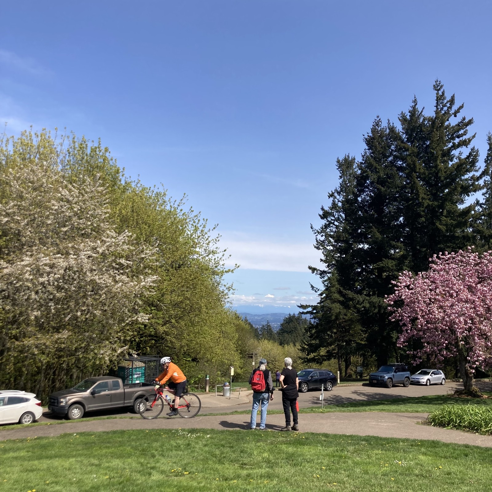 View from Council Crest toward Mt. Hood, which is visible