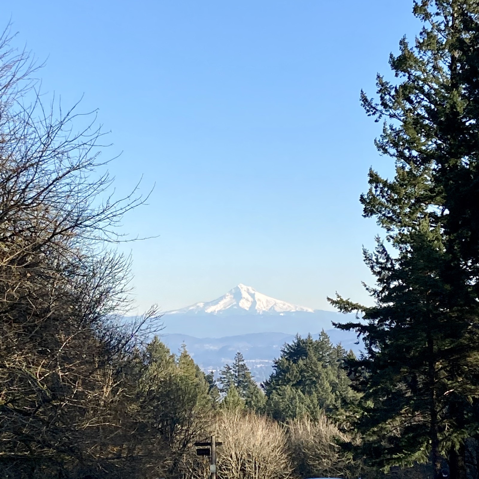 View from Council Crest toward Mt. Hood, which is visible