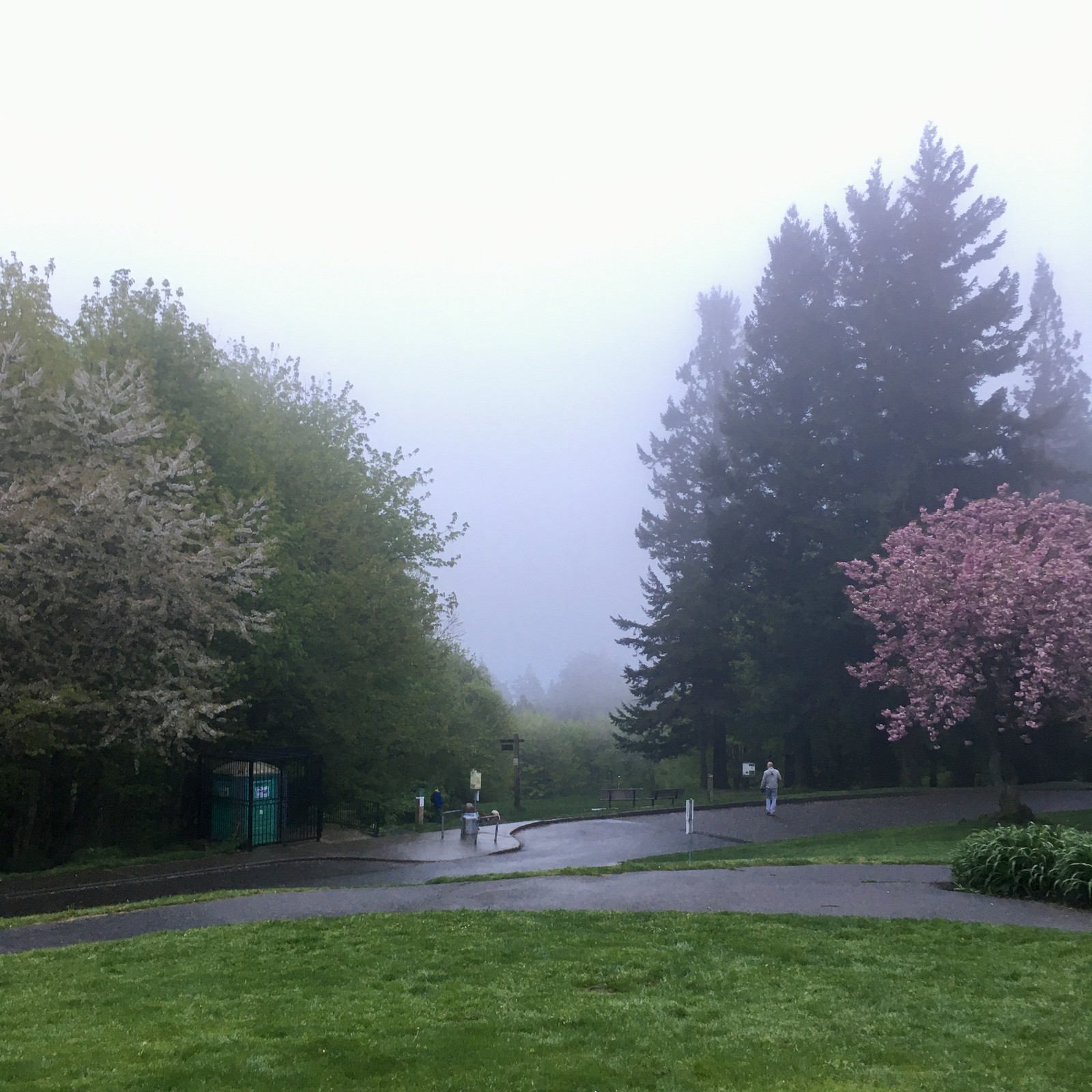 View from Council Crest toward Mt. Hood, which is NOT visible