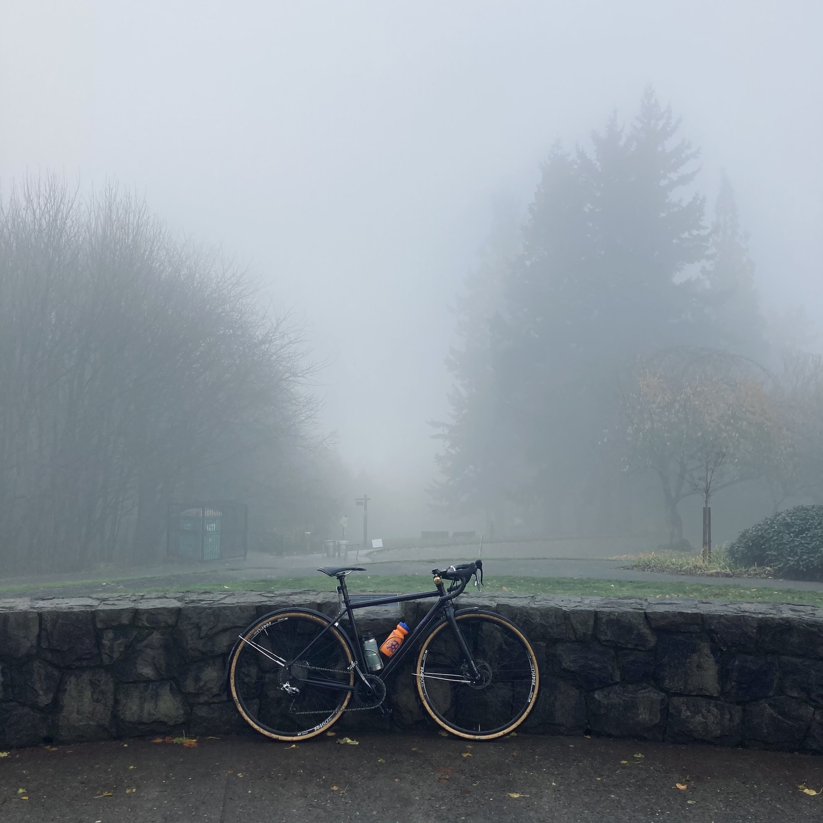View from Council Crest toward Mt. Hood, which is NOT visible