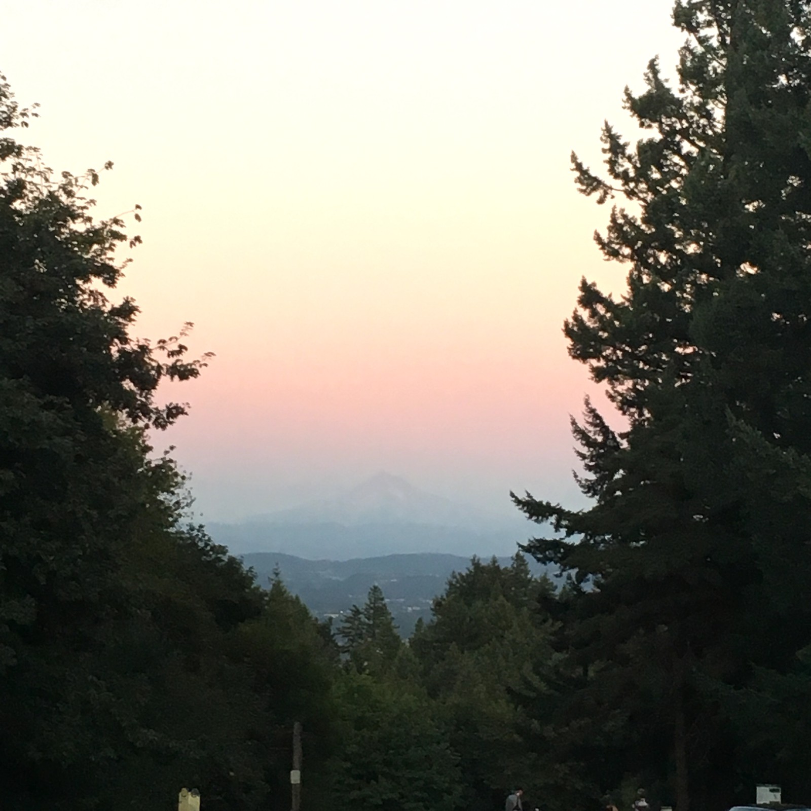 View from Council Crest toward Mt. Hood, which is visible
