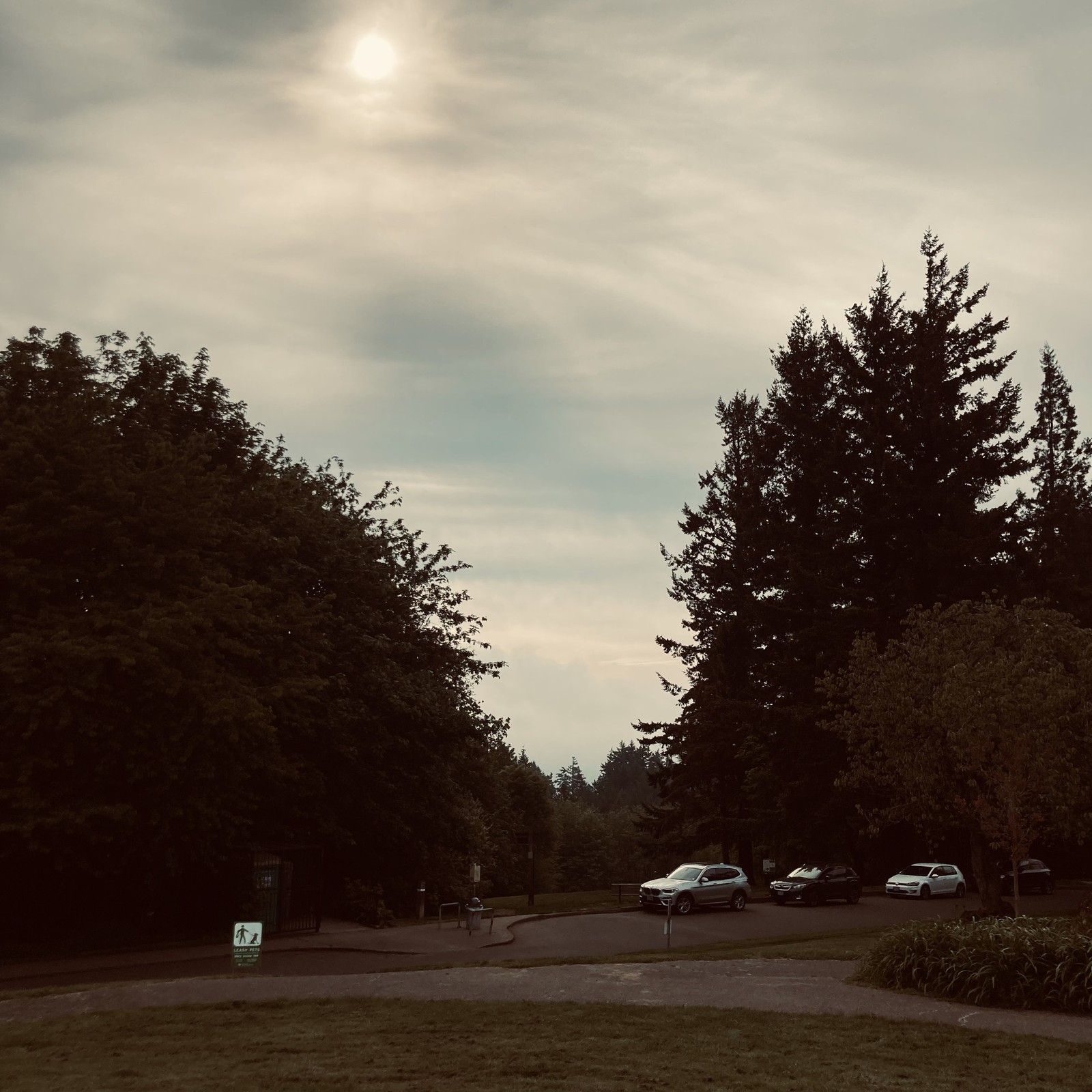 View from Council Crest toward Mt. Hood, which is NOT visible