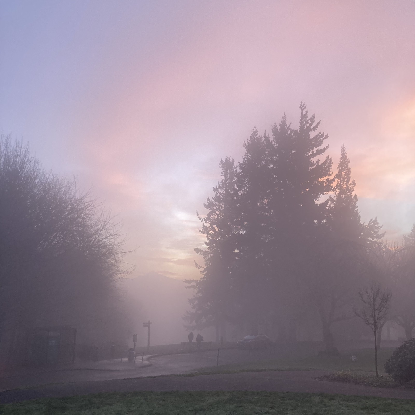 View from Council Crest toward Mt. Hood, which is visible