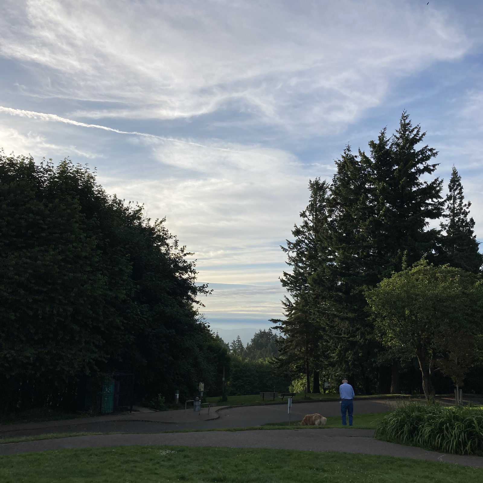 View from Council Crest toward Mt. Hood, which is NOT visible