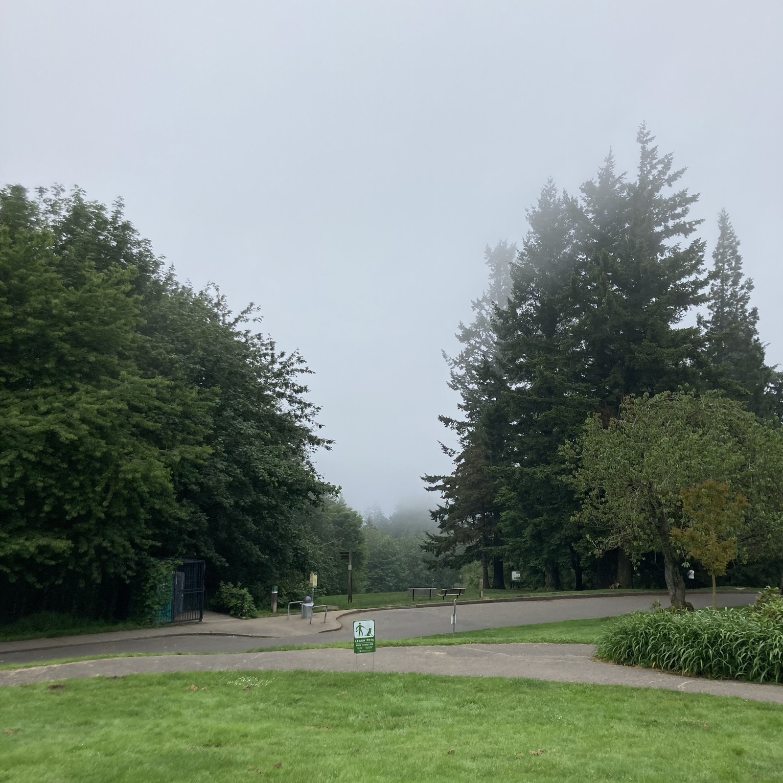 View from Council Crest toward Mt. Hood, which is NOT visible
