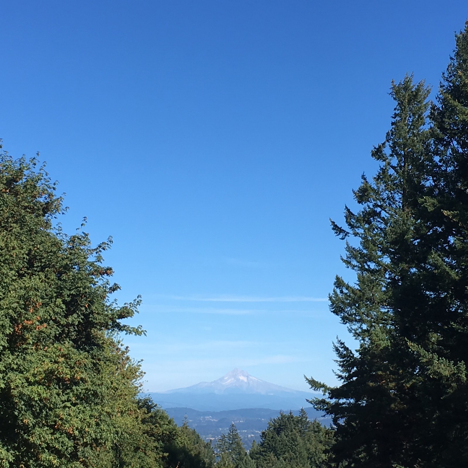 View from Council Crest toward Mt. Hood, which is visible