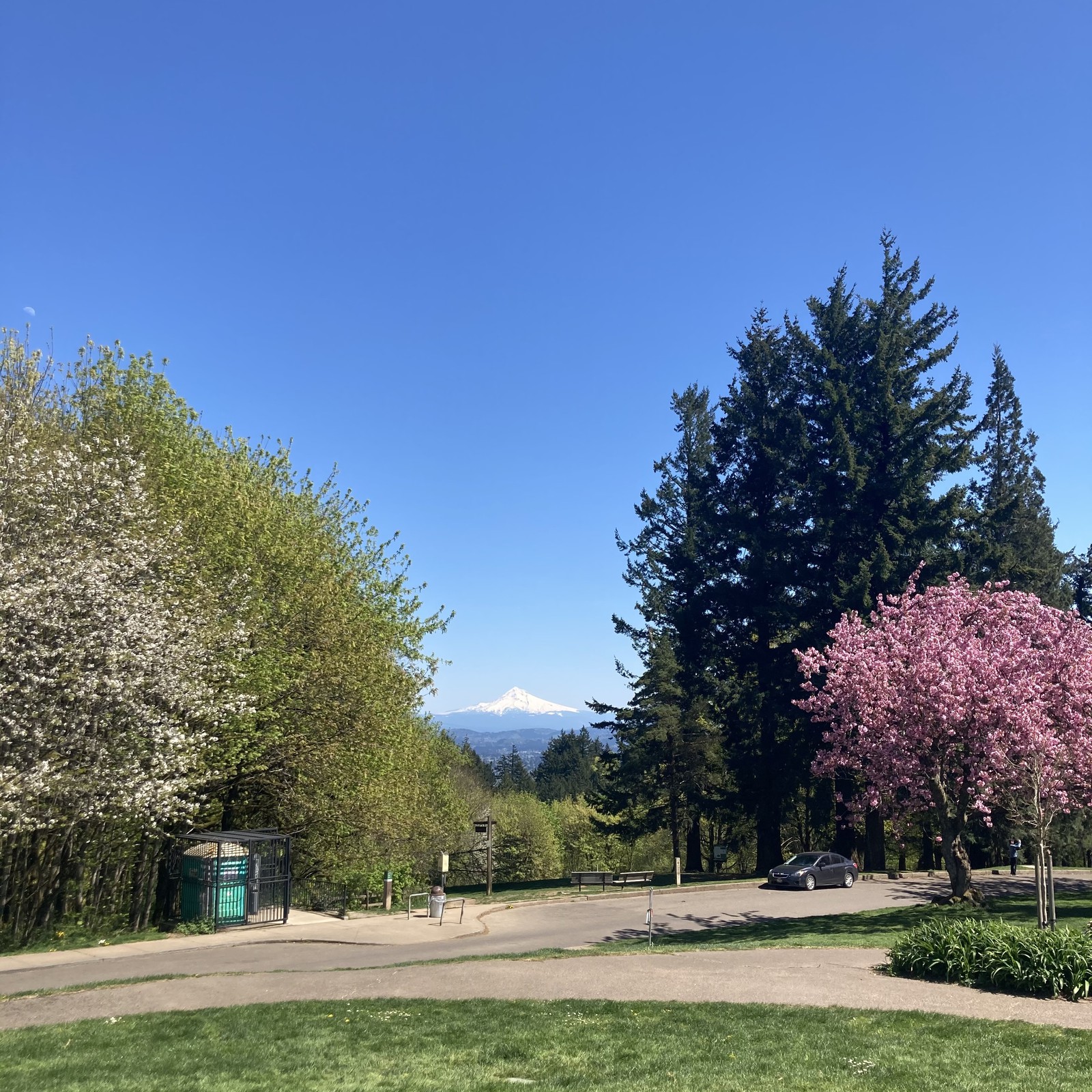View from Council Crest toward Mt. Hood, which is visible