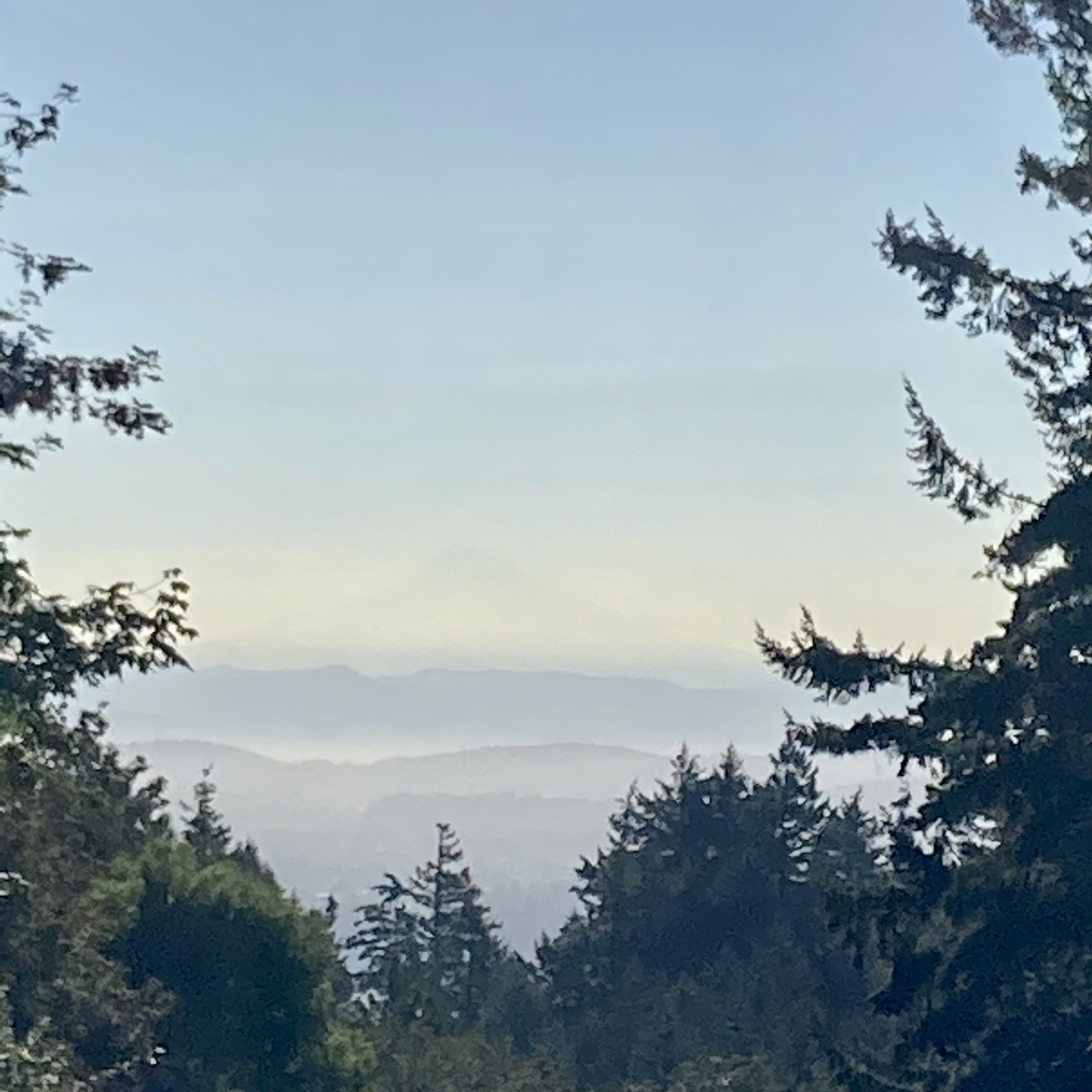 View from Council Crest toward Mt. Hood, which is visible