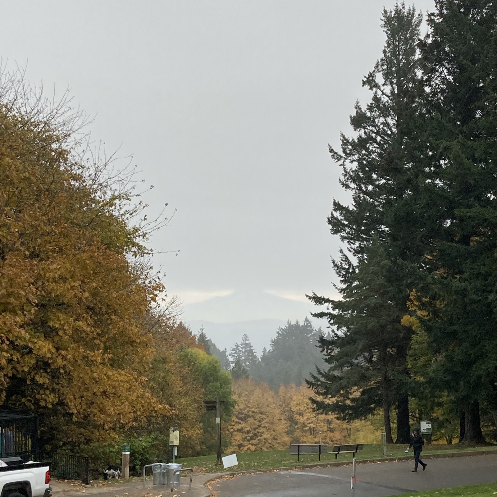 View from Council Crest toward Mt. Hood, which is visible