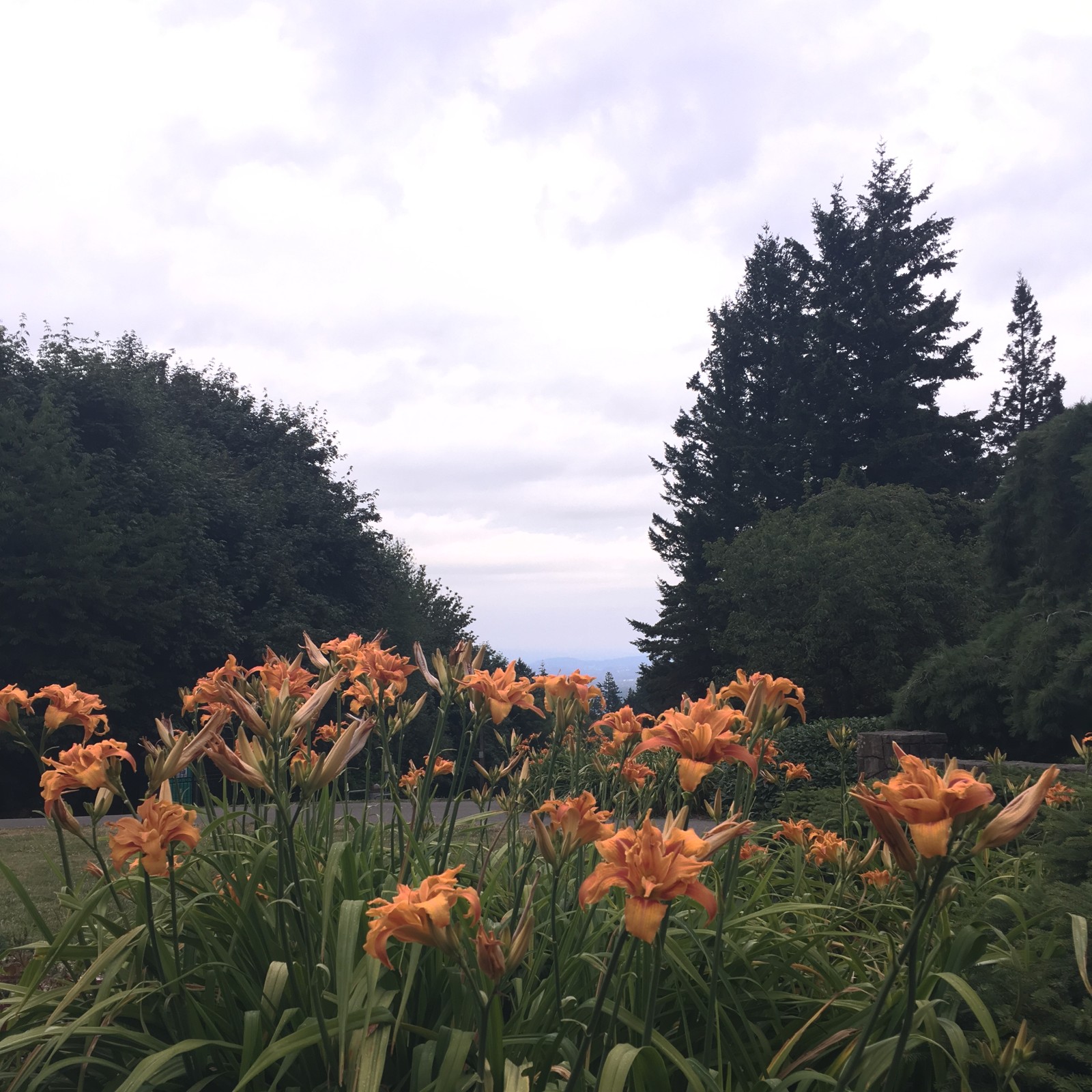 View from Council Crest toward Mt. Hood, which is NOT visible