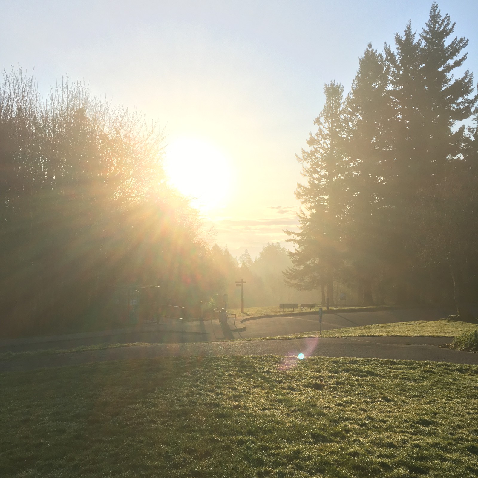 View from Council Crest toward Mt. Hood, which is NOT visible