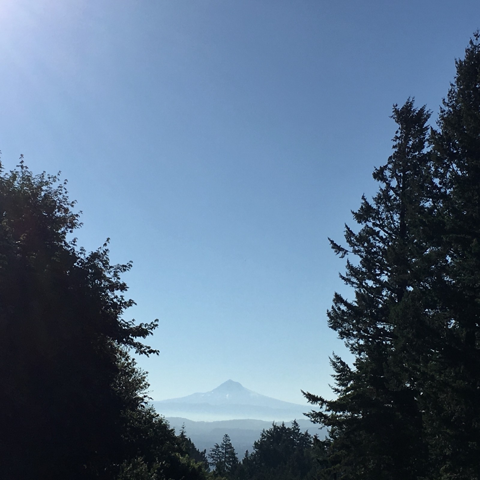 View from Council Crest toward Mt. Hood, which is visible