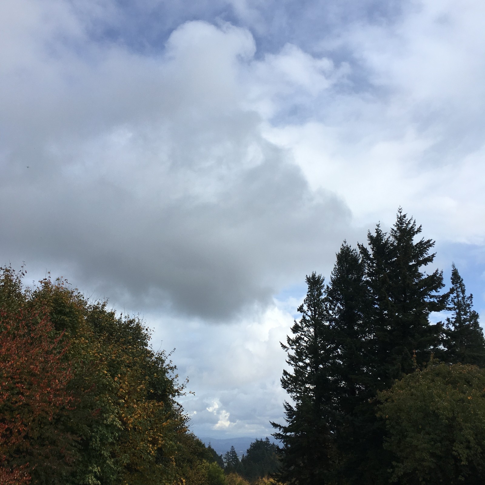 View from Council Crest toward Mt. Hood, which is NOT visible