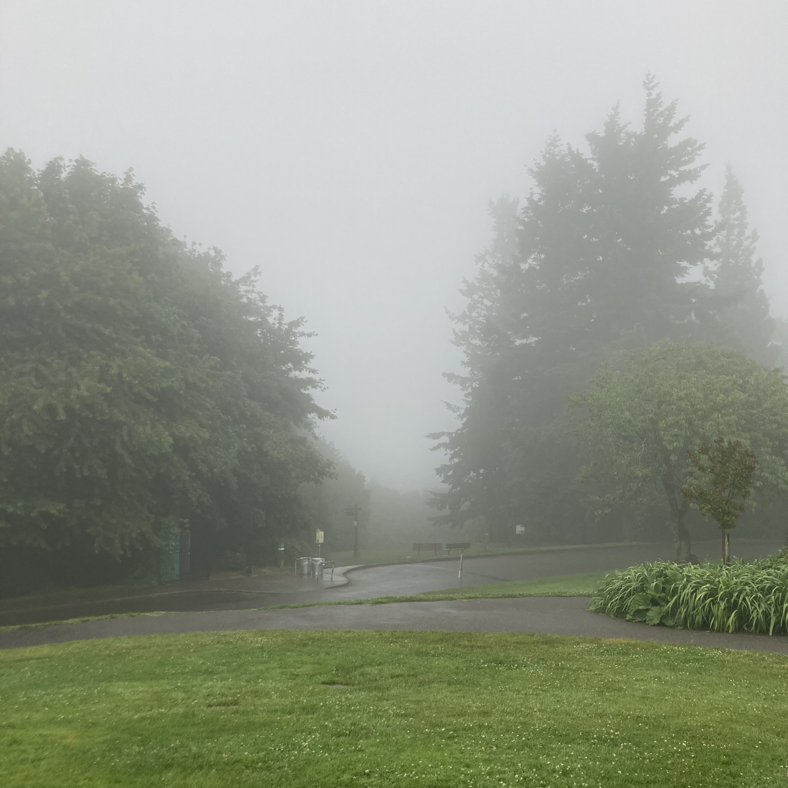 View from Council Crest toward Mt. Hood, which is NOT visible