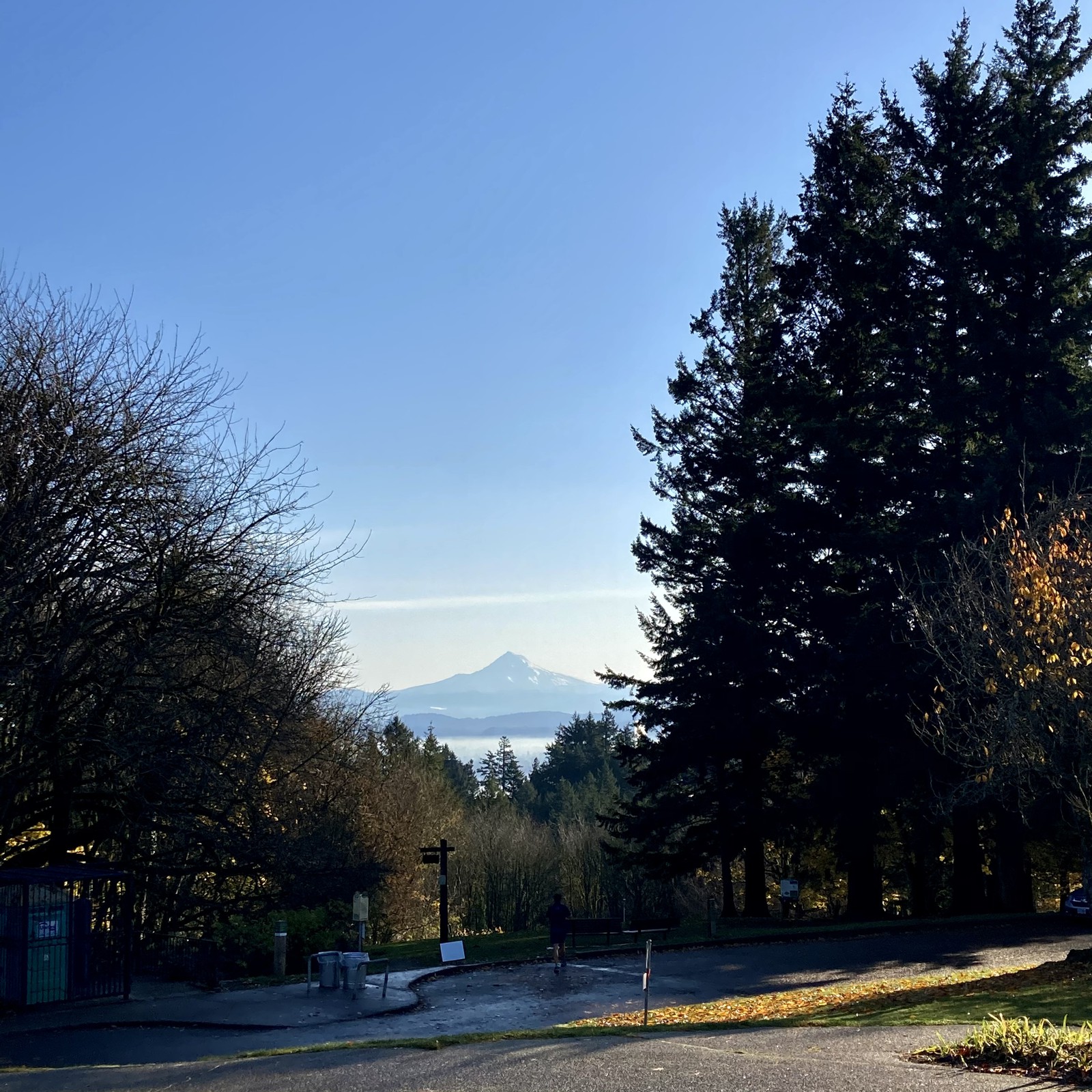 View from Council Crest toward Mt. Hood, which is visible