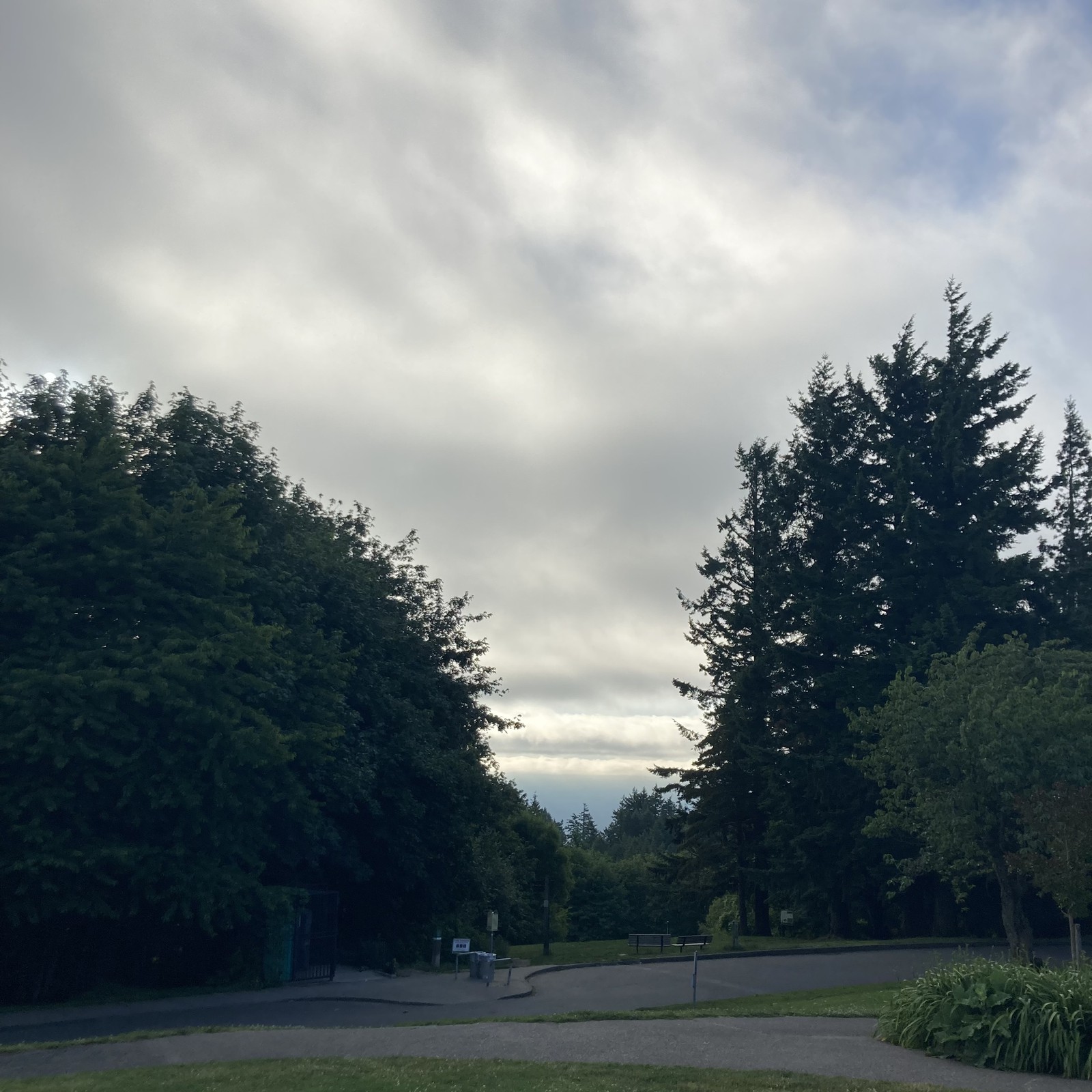 View from Council Crest toward Mt. Hood, which is NOT visible