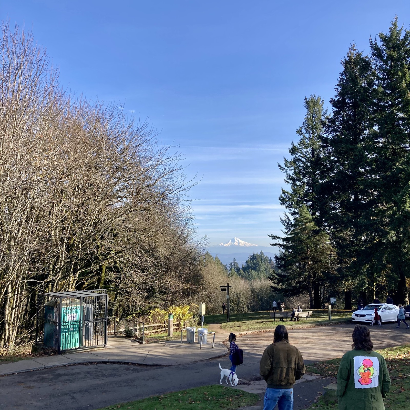 View from Council Crest toward Mt. Hood, which is visible
