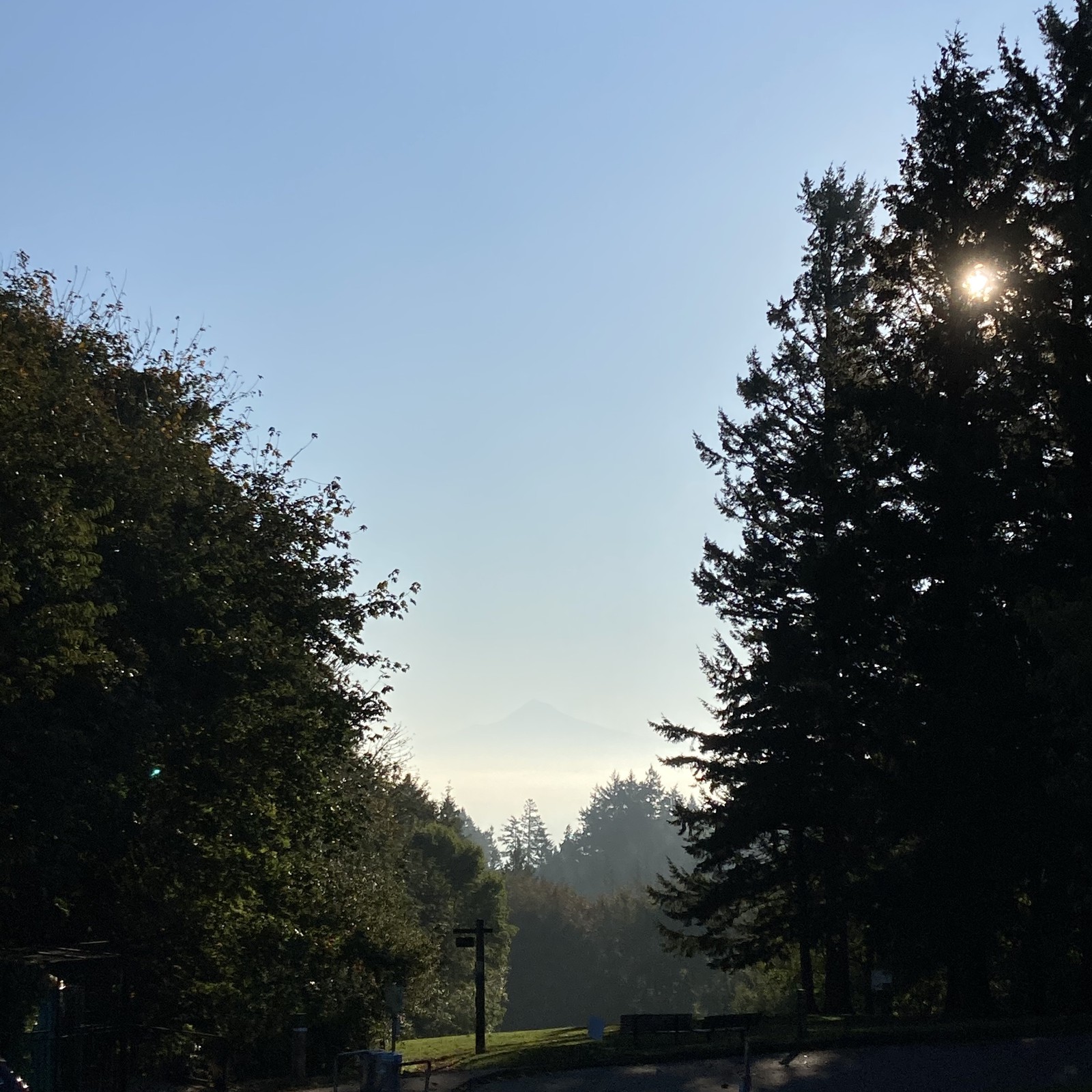 View from Council Crest toward Mt. Hood, which is visible