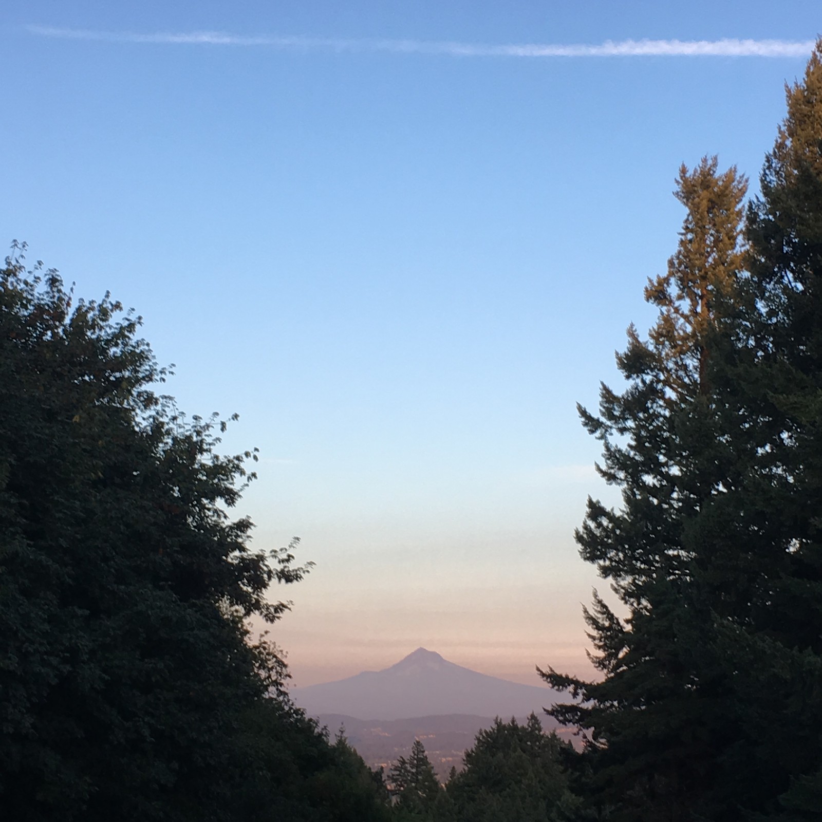 View from Council Crest toward Mt. Hood, which is visible