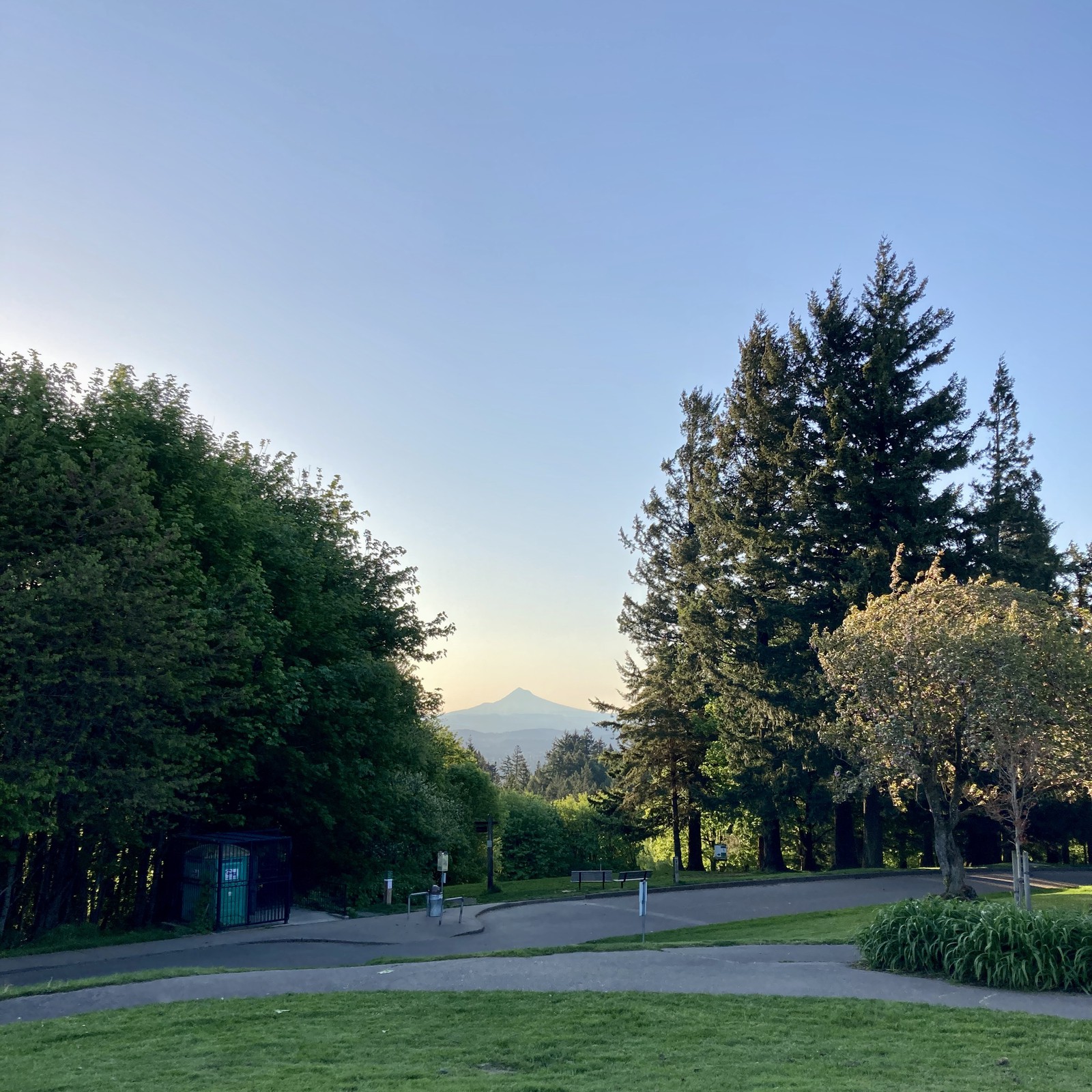 View from Council Crest toward Mt. Hood, which is visible