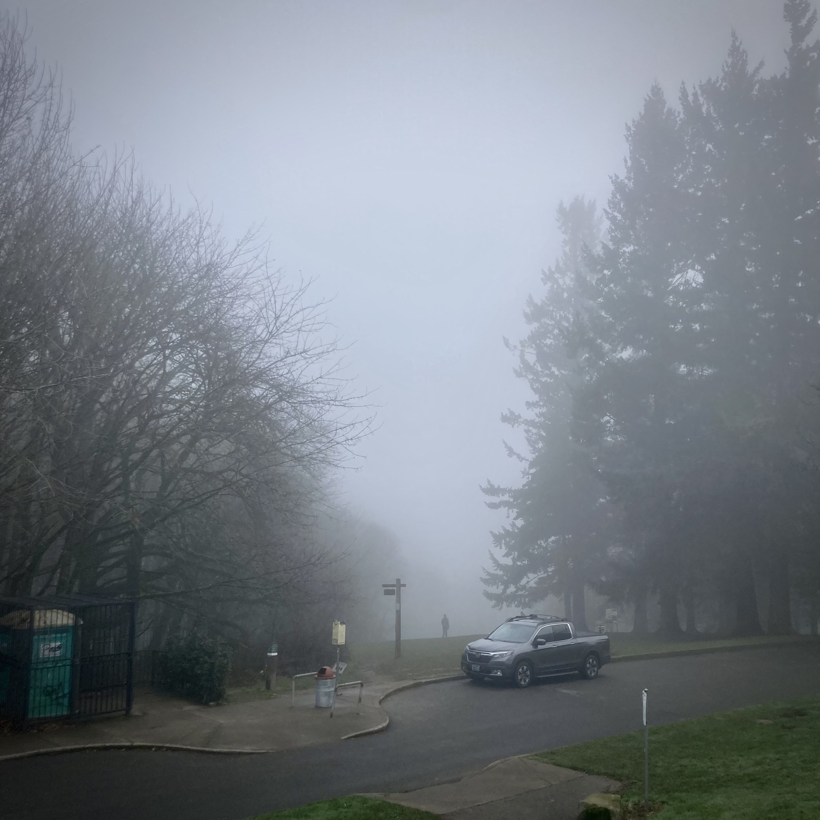 Utterly gray winter day, heavy fog, a view downhill into gray. Tall stand of douglas firs to the right/south, stand of small leafless alders to the right/north. A small pickuppy SUV thing on a parking lot in the near midground.