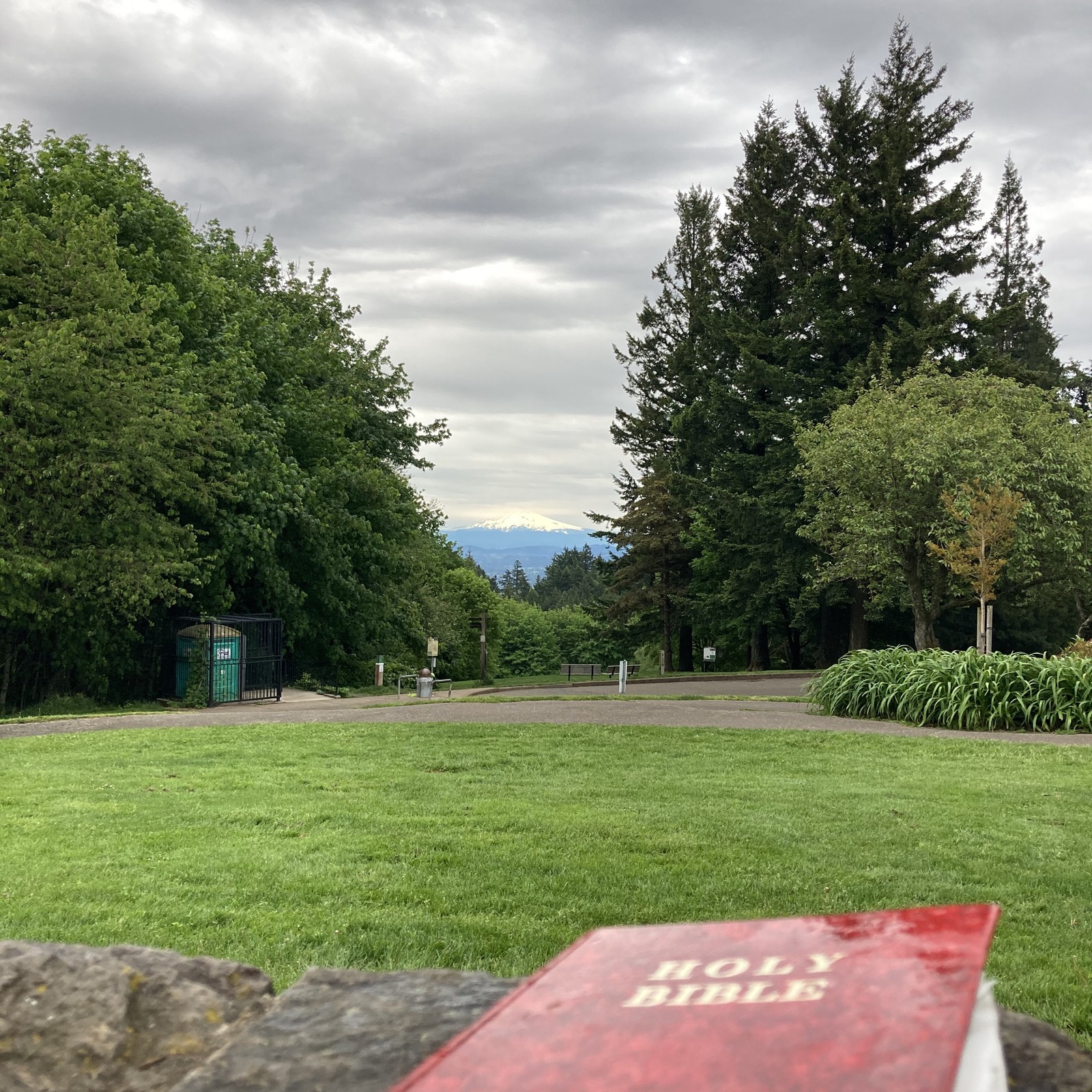 View from Council Crest toward Mt. Hood, which is visible