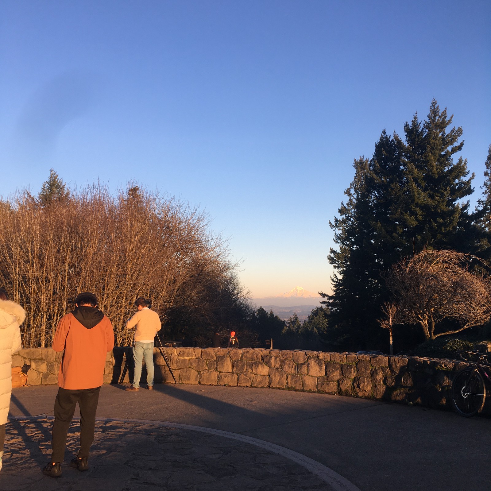 View from Council Crest toward Mt. Hood, which is visible
