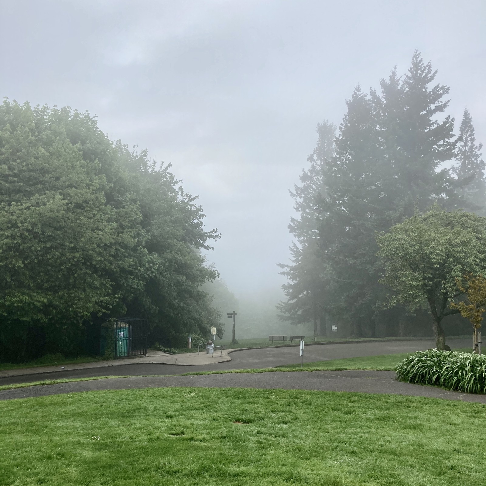 View from Council Crest toward Mt. Hood, which is NOT visible