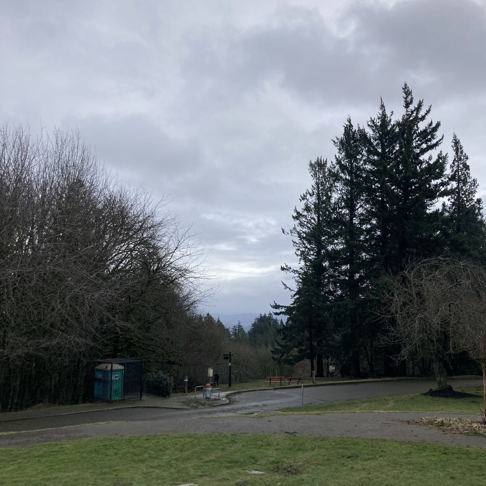 View toward Mt. Hood from Council Crest on a gray late winter day. A strict comparison with a previous photo of this scene will reveal that one of the large Douglas Firs normally visible is now absent; it fell during last week’s ice storms