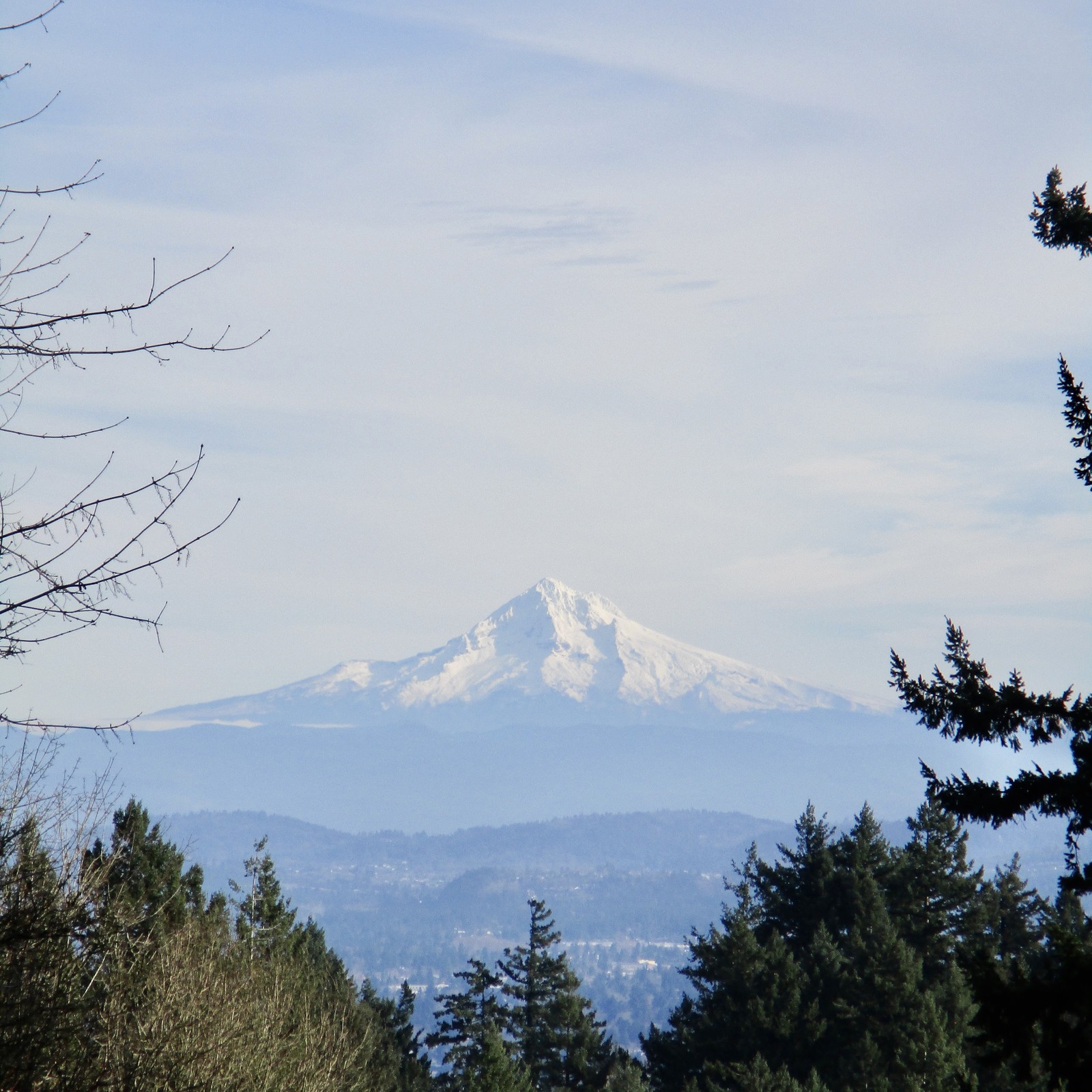 Mt. Hood under a silvery sky in the early winter afternoon. You can just make out many details on the mountain because I took this photo with an actual camera (not just a phone)