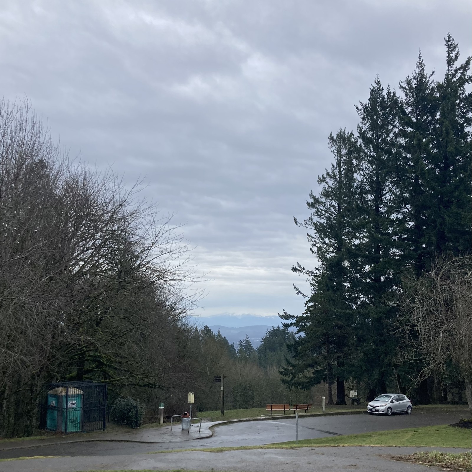 Wow this is marginal. Literally: the lower margins of the snowline are visible on Mt. Hood under a heavy gray sky