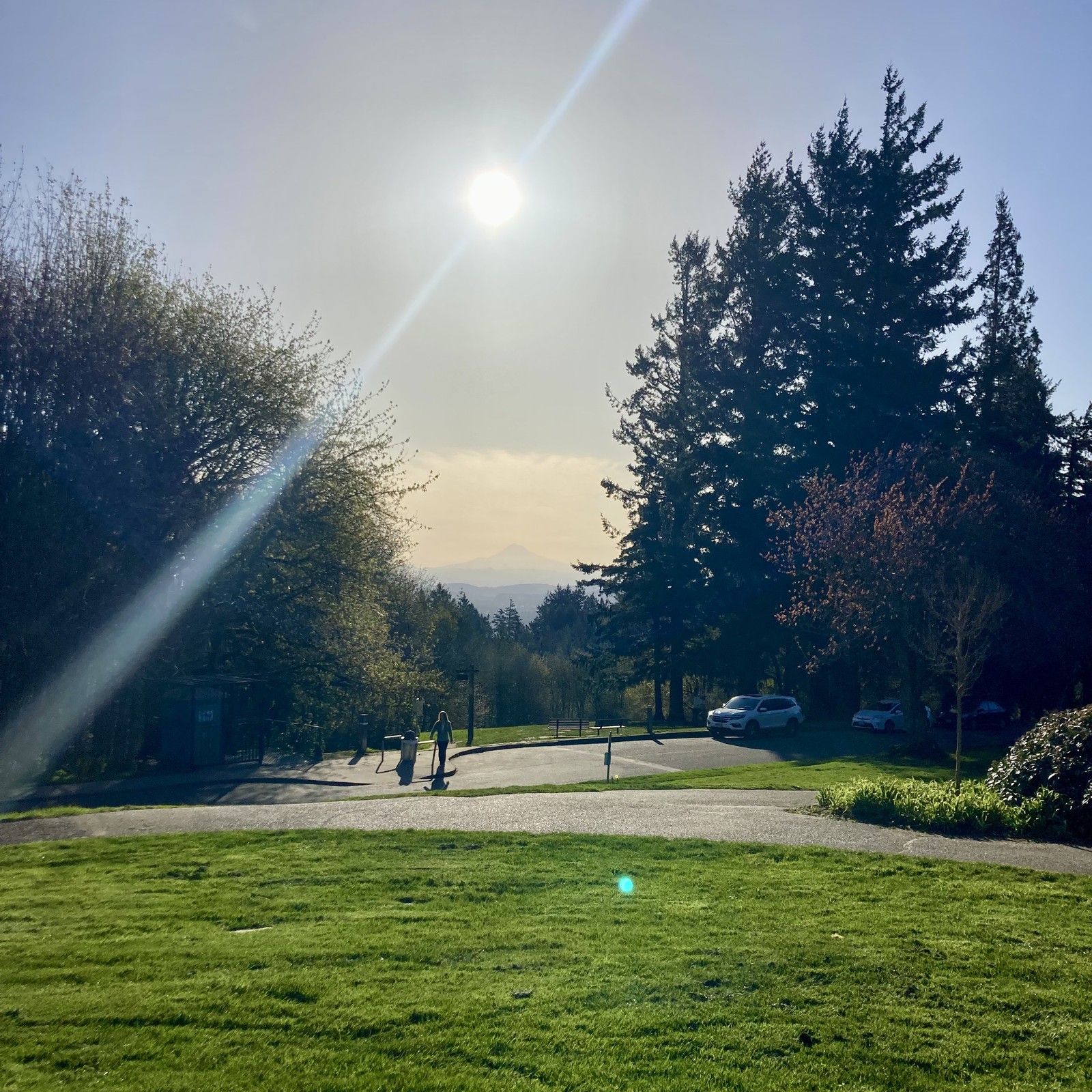 View from Council Crest toward Mt. Hood, which is visible