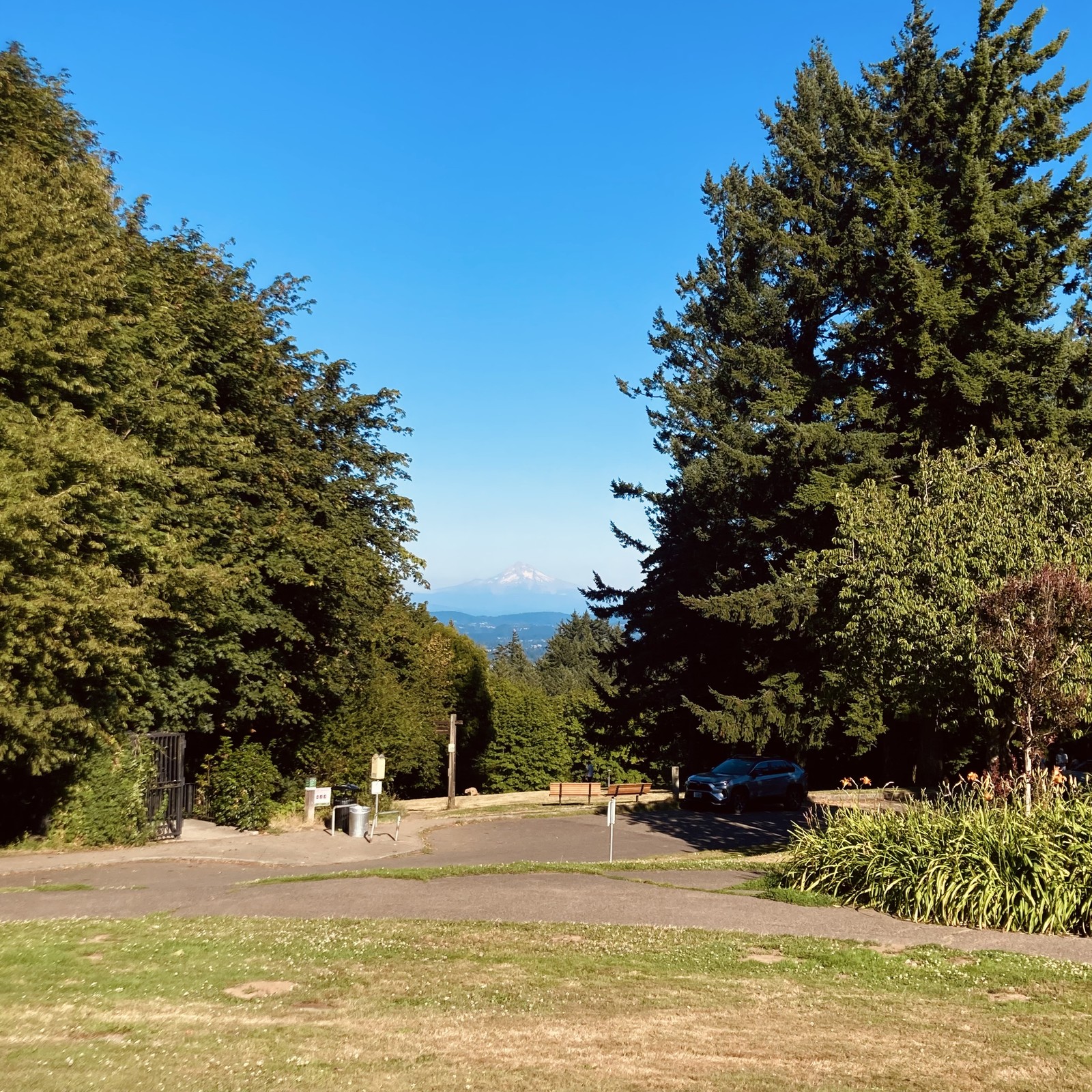 Mt Hood on a scented mid August afternoon