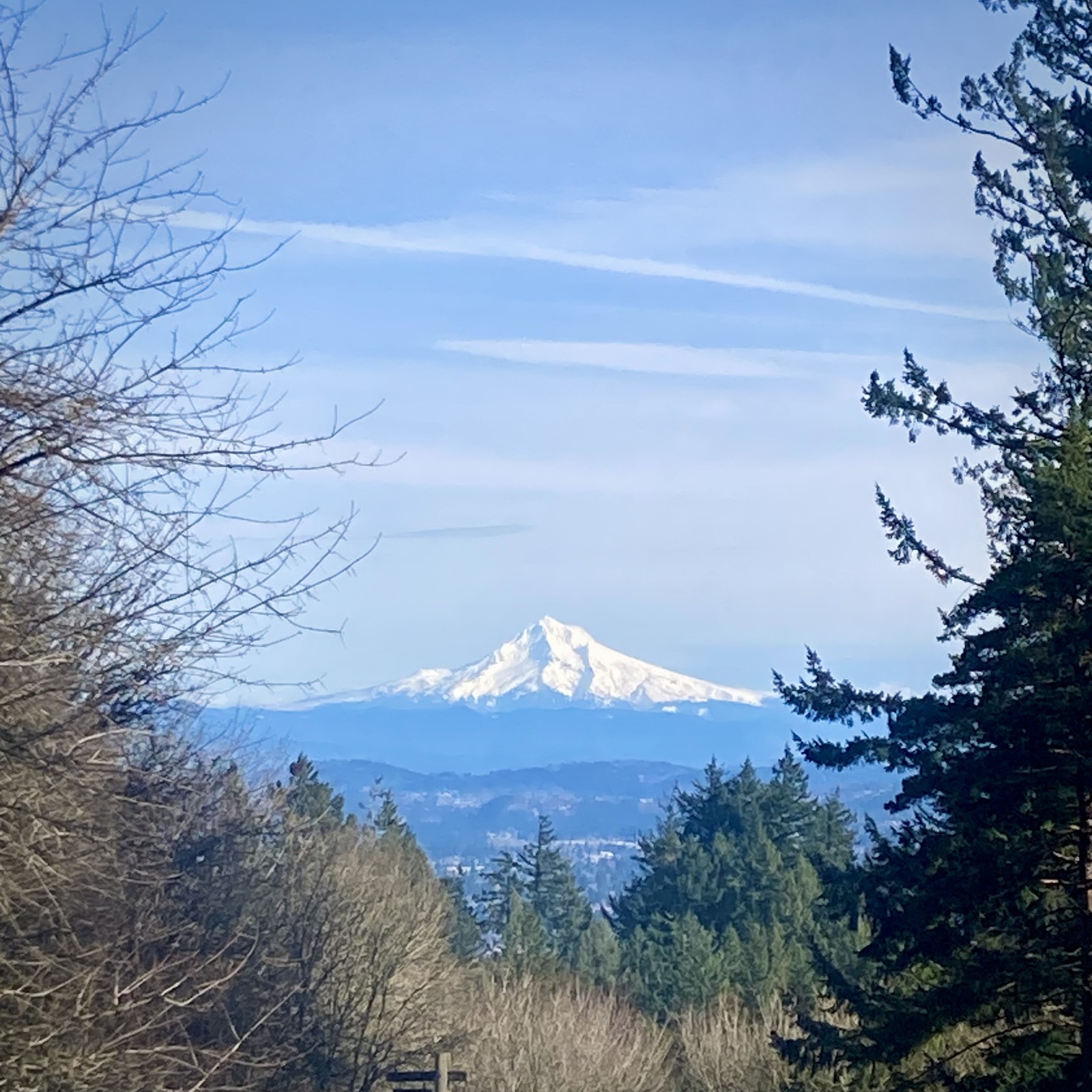 Mt. Hood, white with snow, under a cold pale sky. Colors are unnaturally saturated, the photo has a painterly effect