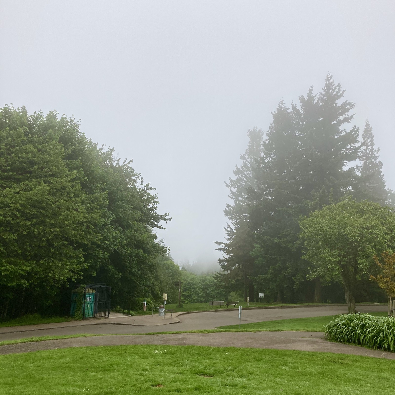 View from Council Crest toward Mt. Hood, which is NOT visible