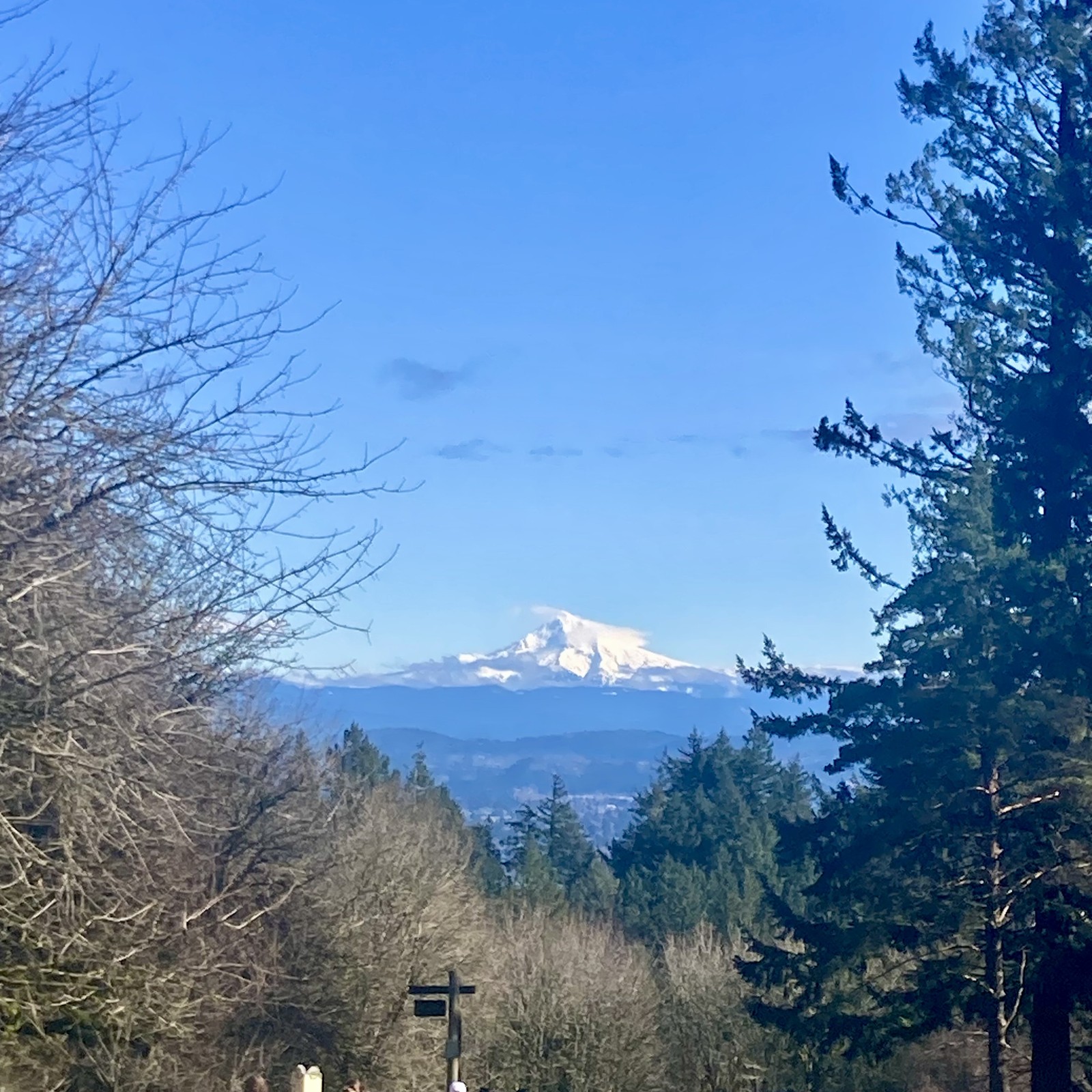 A single thin cloud clings to the peak of a snow clad dormant volcano under a brilliant deep blue sky