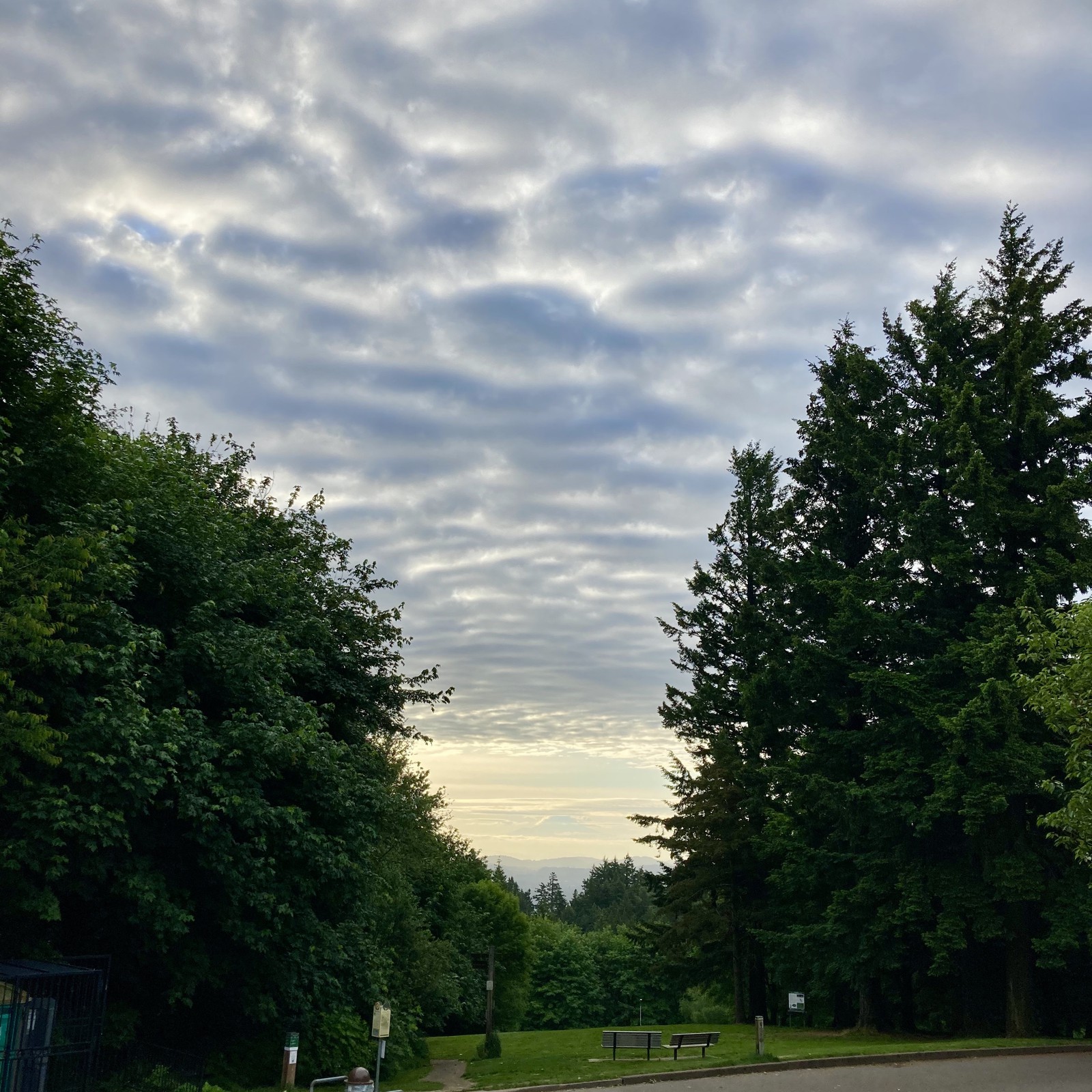 View from Council Crest toward Mt. Hood, which is visible