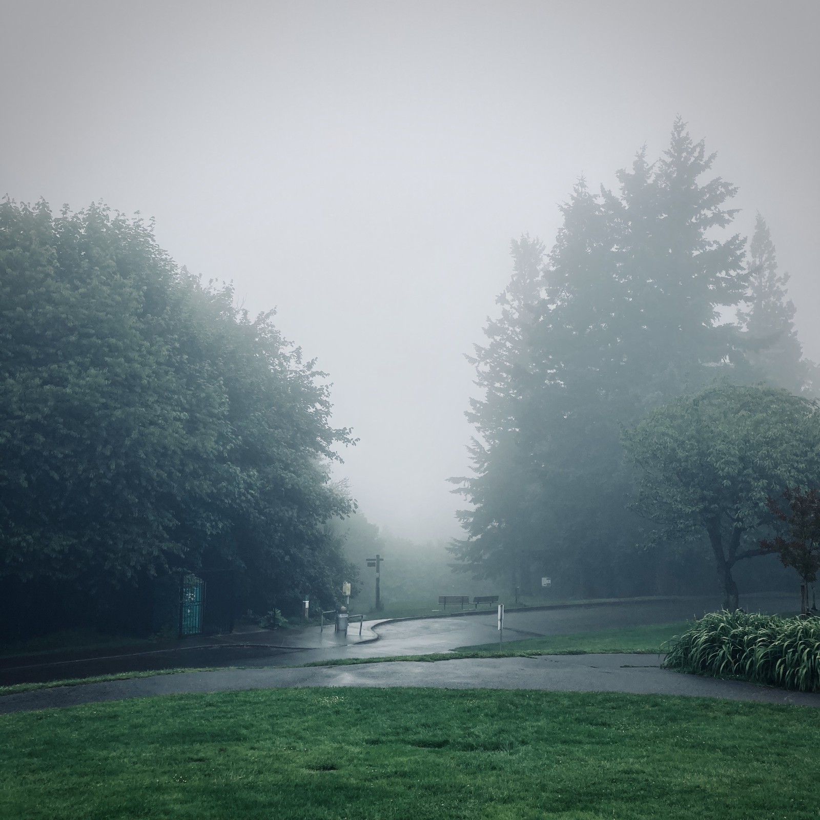 View from Council Crest toward Mt. Hood, which is NOT visible