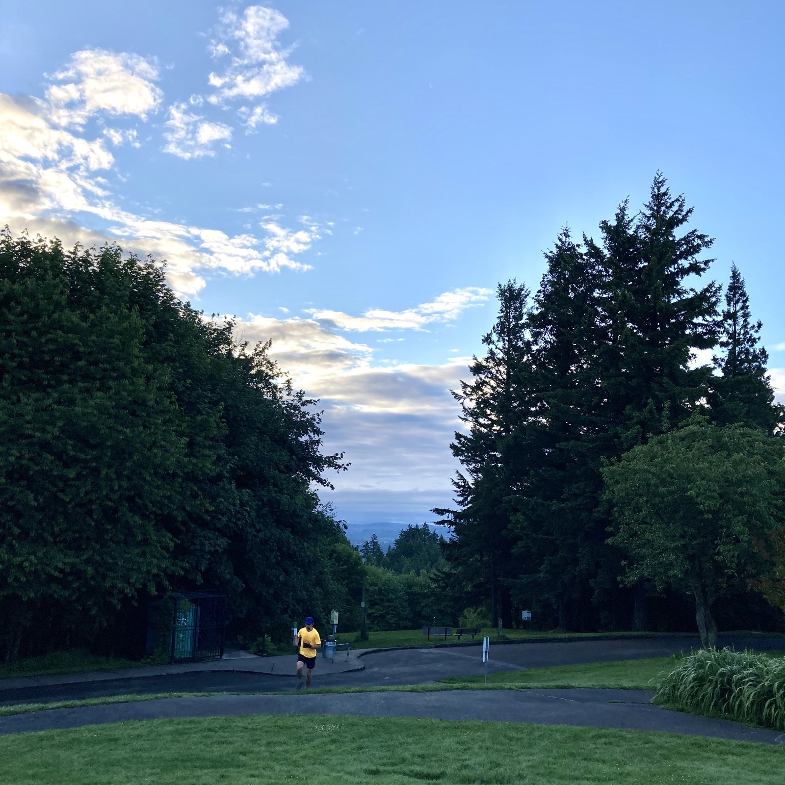 View from Council Crest toward Mt. Hood, which is NOT visible