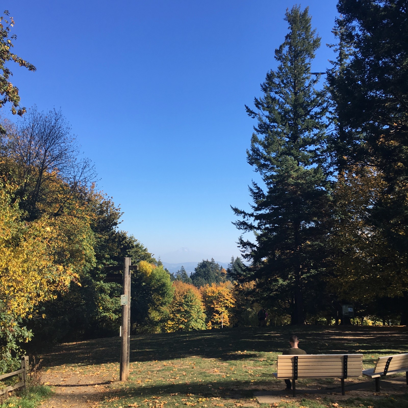 View from Council Crest toward Mt. Hood, which is visible