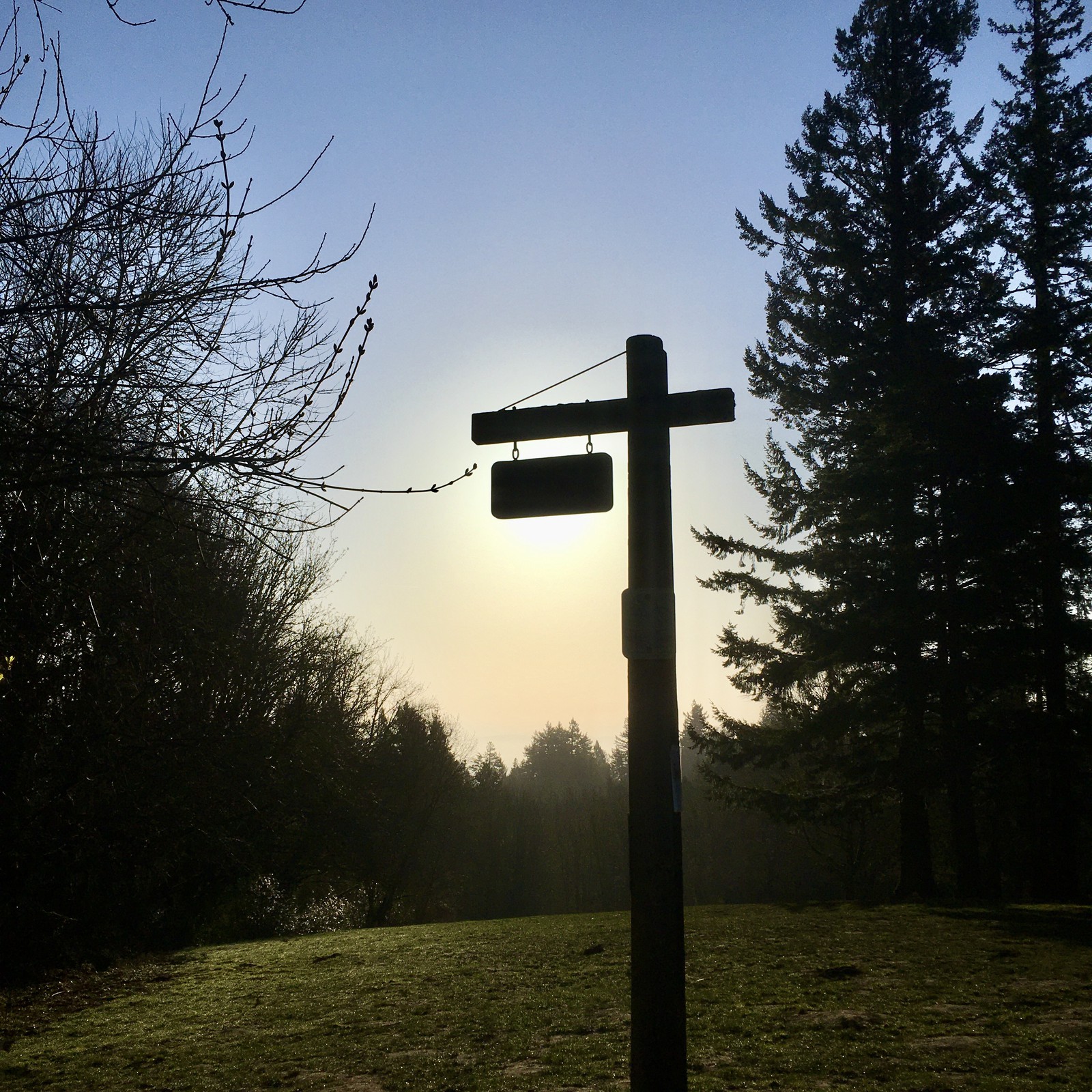 View from Council Crest toward Mt. Hood, which is NOT visible