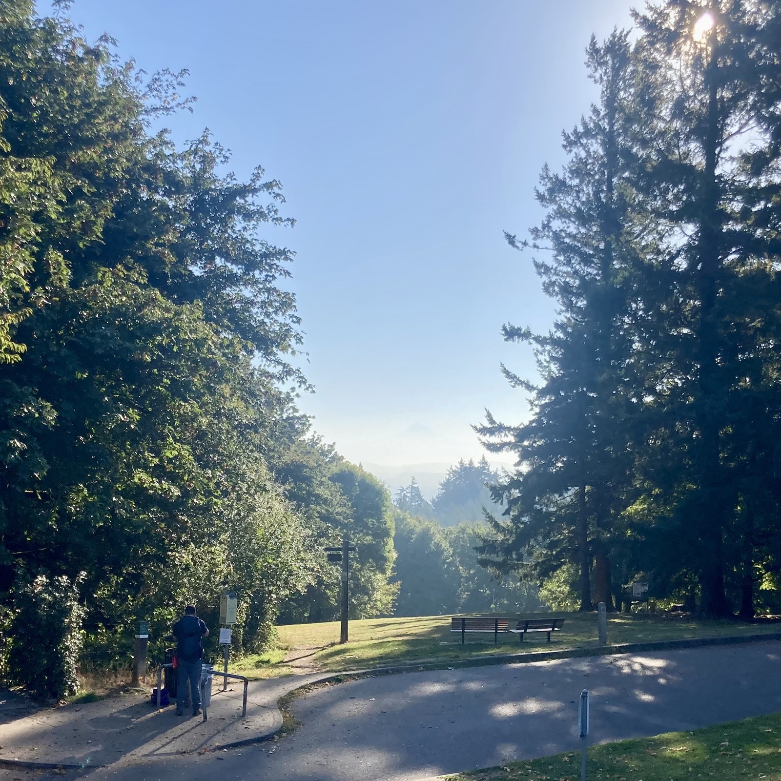 Mt Hood barely visible through haze on an otherwise cloudless morning. Sun shining through a tall fir in the near distance. In the foreground a hiker prepares his backpack
