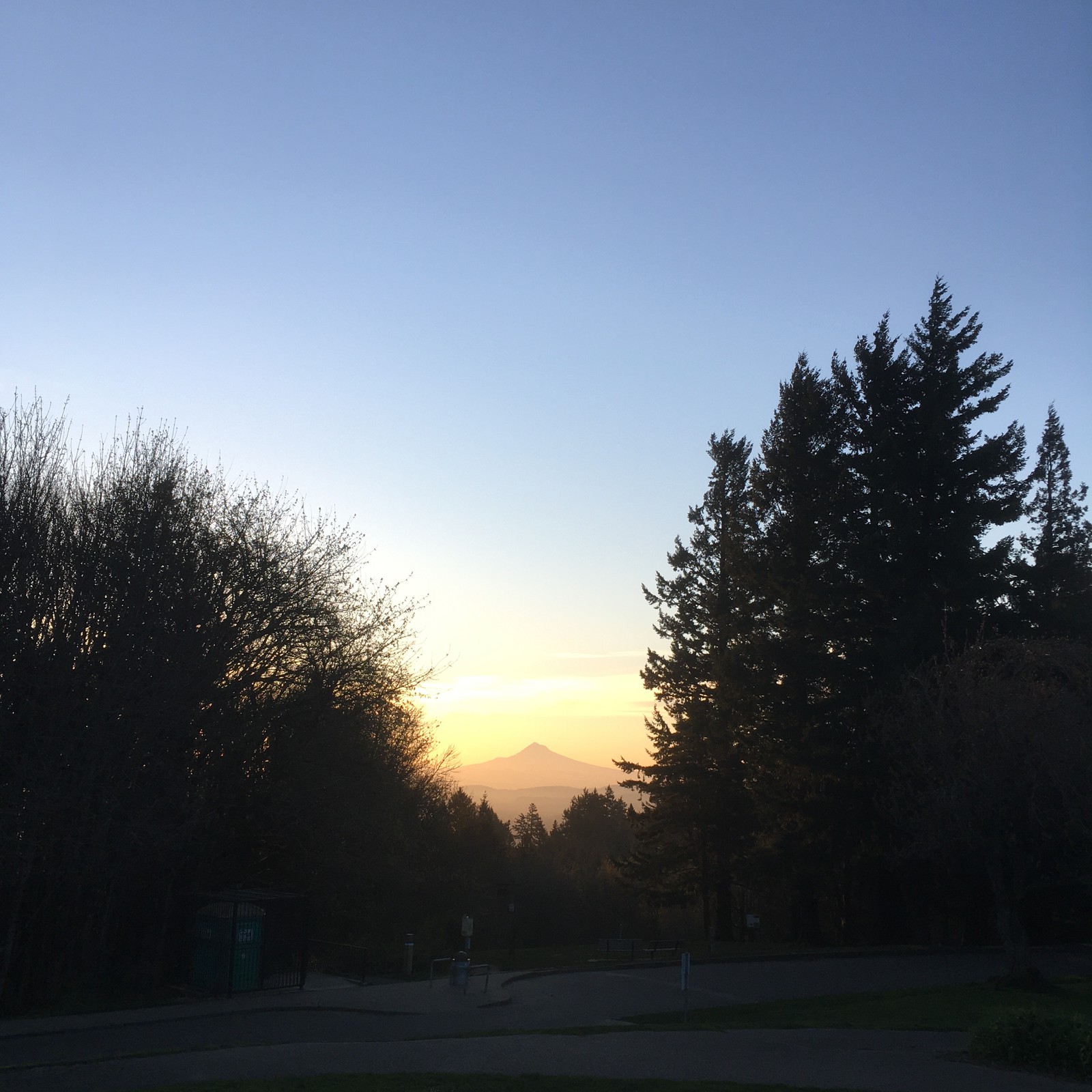 View from Council Crest toward Mt. Hood, which is visible